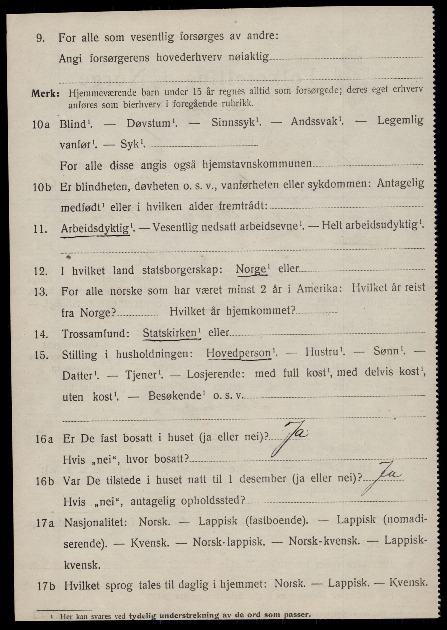 SAT, 1920 census for Hemne, 1920, p. 6507