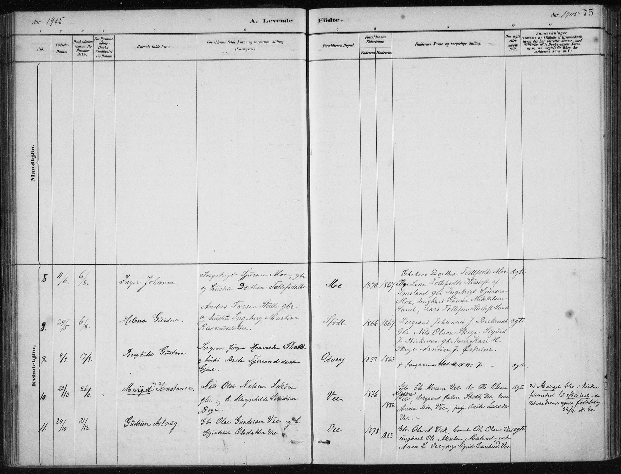 Etne sokneprestembete, AV/SAB-A-75001/H/Haa: Parish register (official) no. C  1, 1879-1919, p. 75