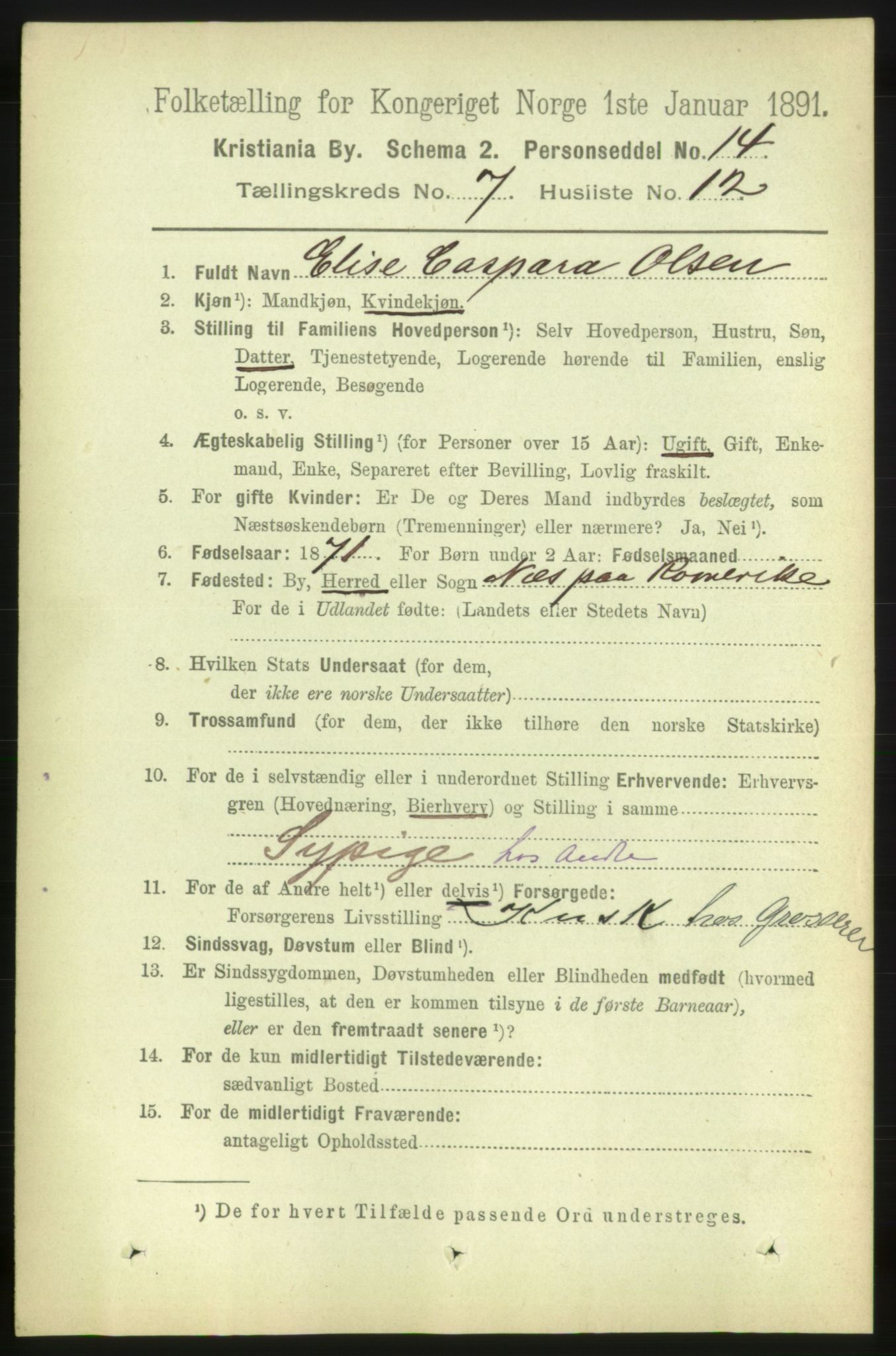 RA, 1891 census for 0301 Kristiania, 1891, p. 2899