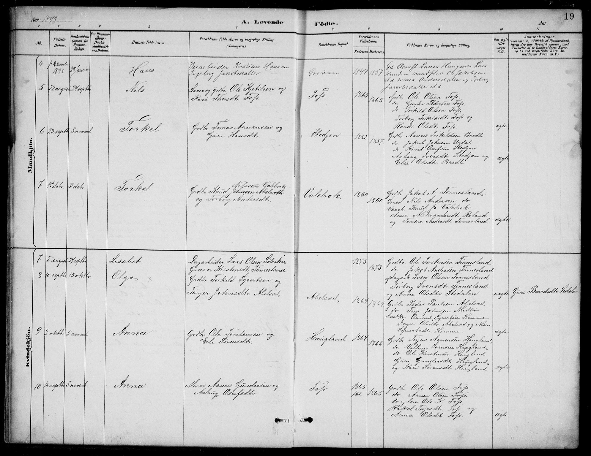 Bjelland sokneprestkontor, AV/SAK-1111-0005/F/Fb/Fba/L0005: Parish register (copy) no. B 5, 1887-1923, p. 19