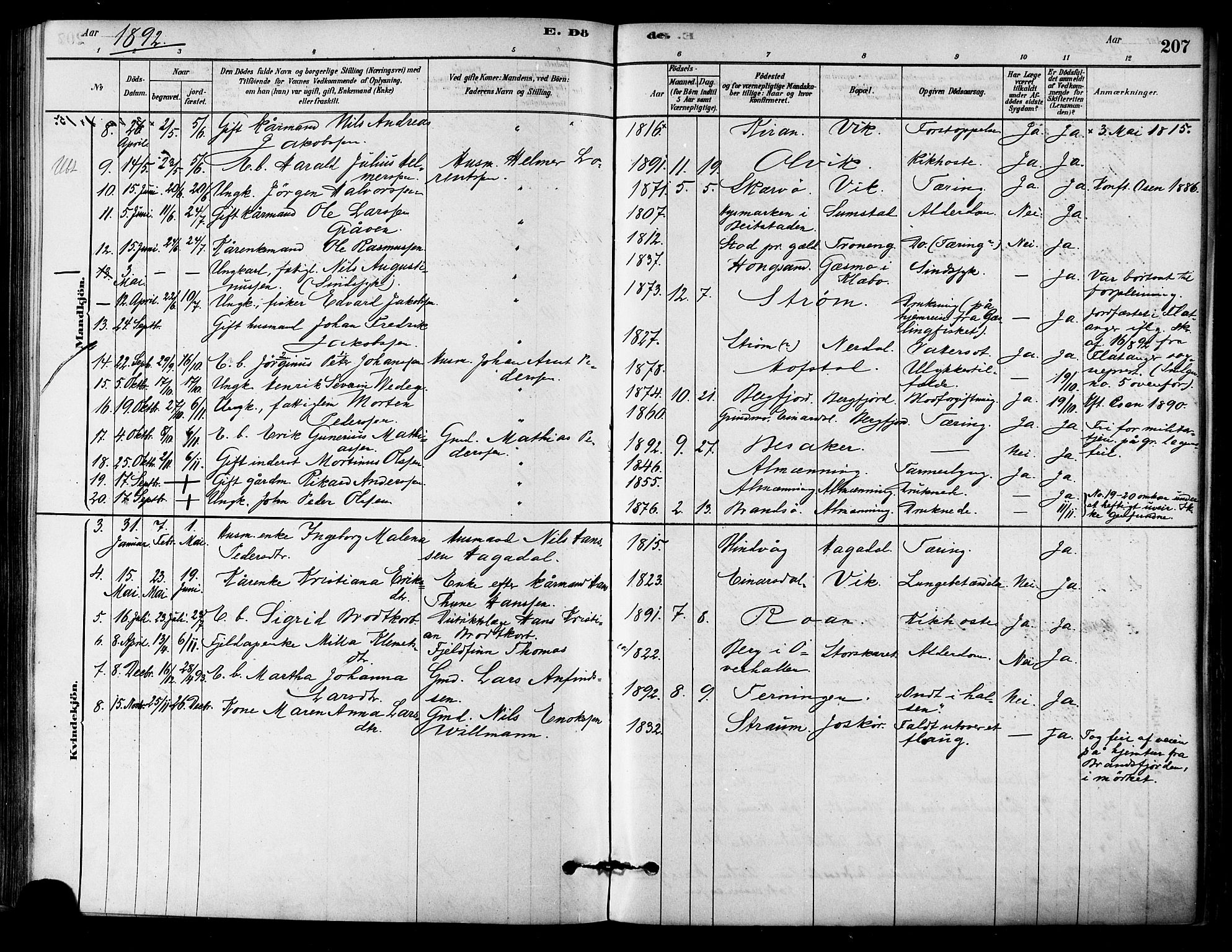 Ministerialprotokoller, klokkerbøker og fødselsregistre - Sør-Trøndelag, SAT/A-1456/657/L0707: Parish register (official) no. 657A08, 1879-1893, p. 207
