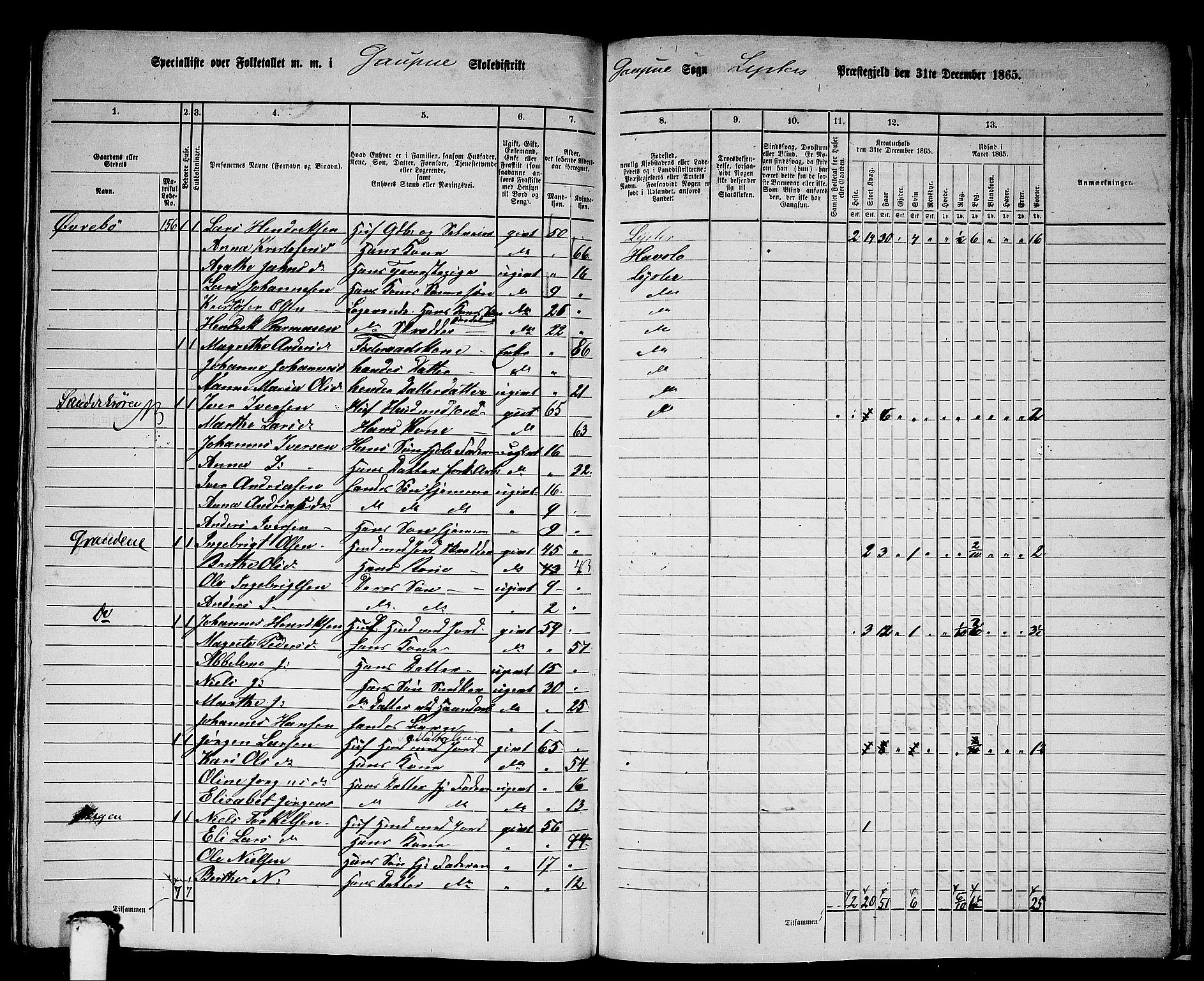 RA, 1865 census for Luster, 1865, p. 154