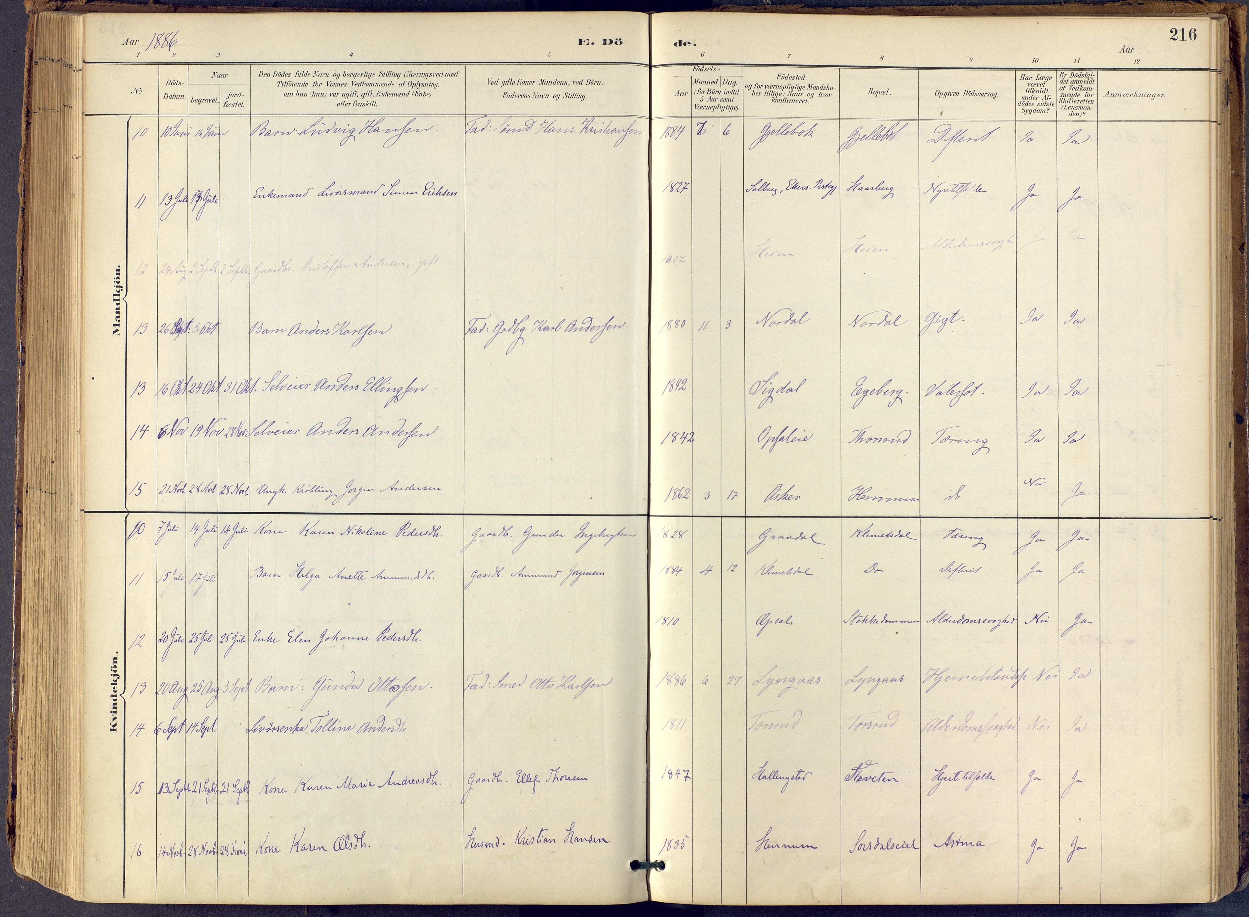 Lier kirkebøker, AV/SAKO-A-230/F/Fb/L0001: Parish register (official) no. II 1, 1883-1910, p. 216