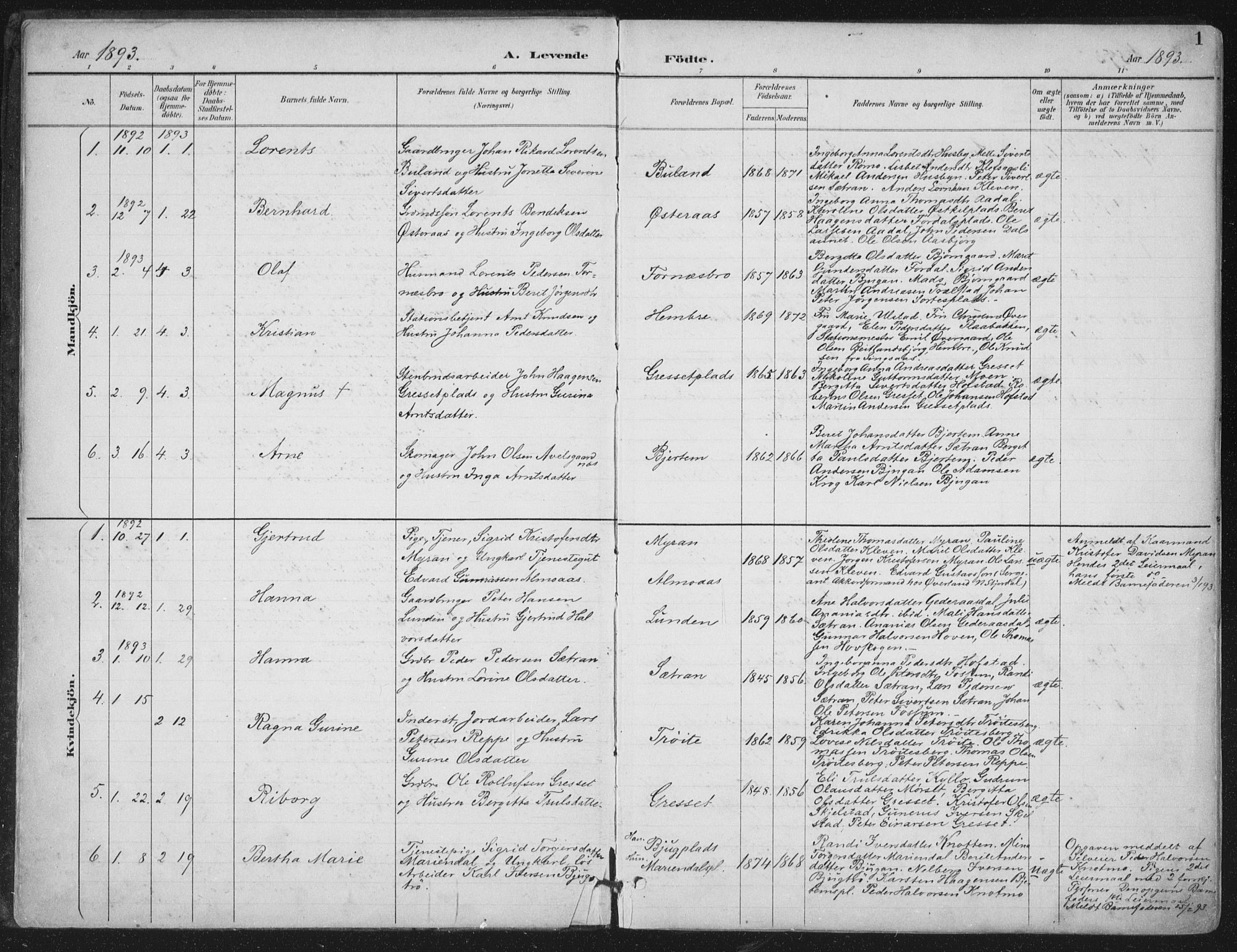 Ministerialprotokoller, klokkerbøker og fødselsregistre - Nord-Trøndelag, AV/SAT-A-1458/703/L0031: Parish register (official) no. 703A04, 1893-1914, p. 1