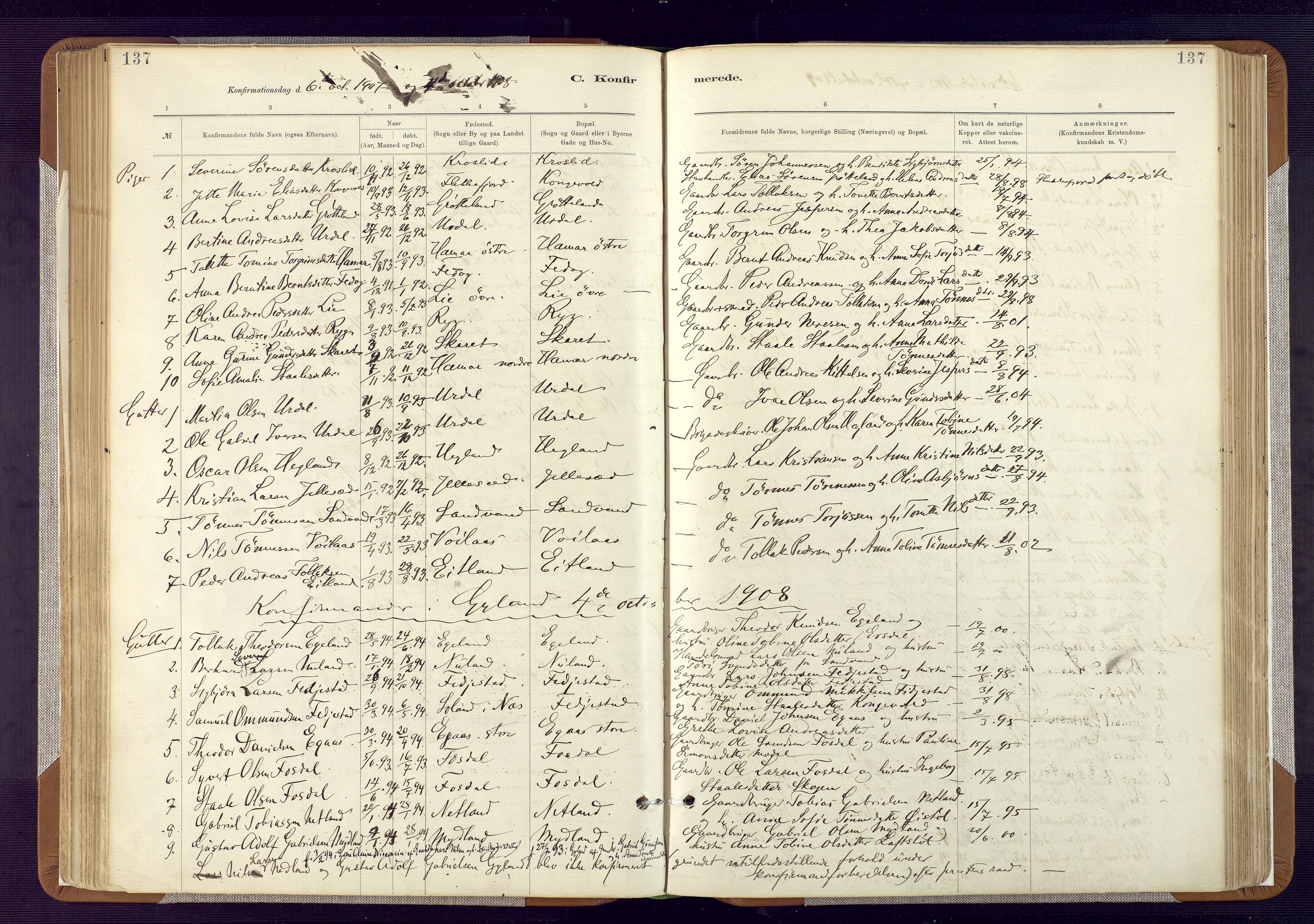Bakke sokneprestkontor, SAK/1111-0002/F/Fa/Fab/L0003: Parish register (official) no. A 3, 1884-1921, p. 137