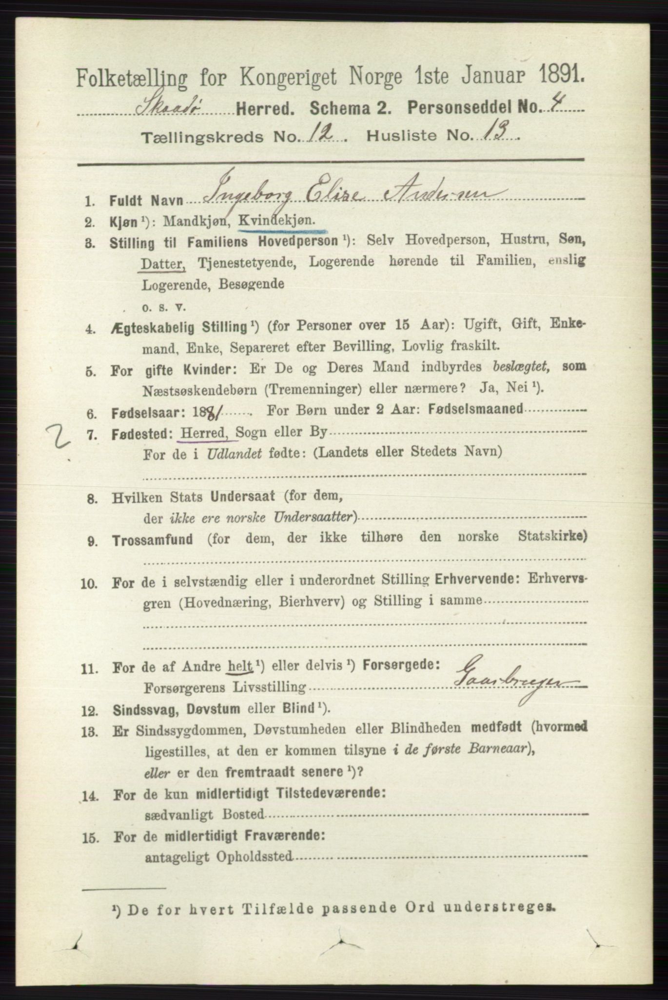 RA, 1891 census for 0815 Skåtøy, 1891, p. 4369