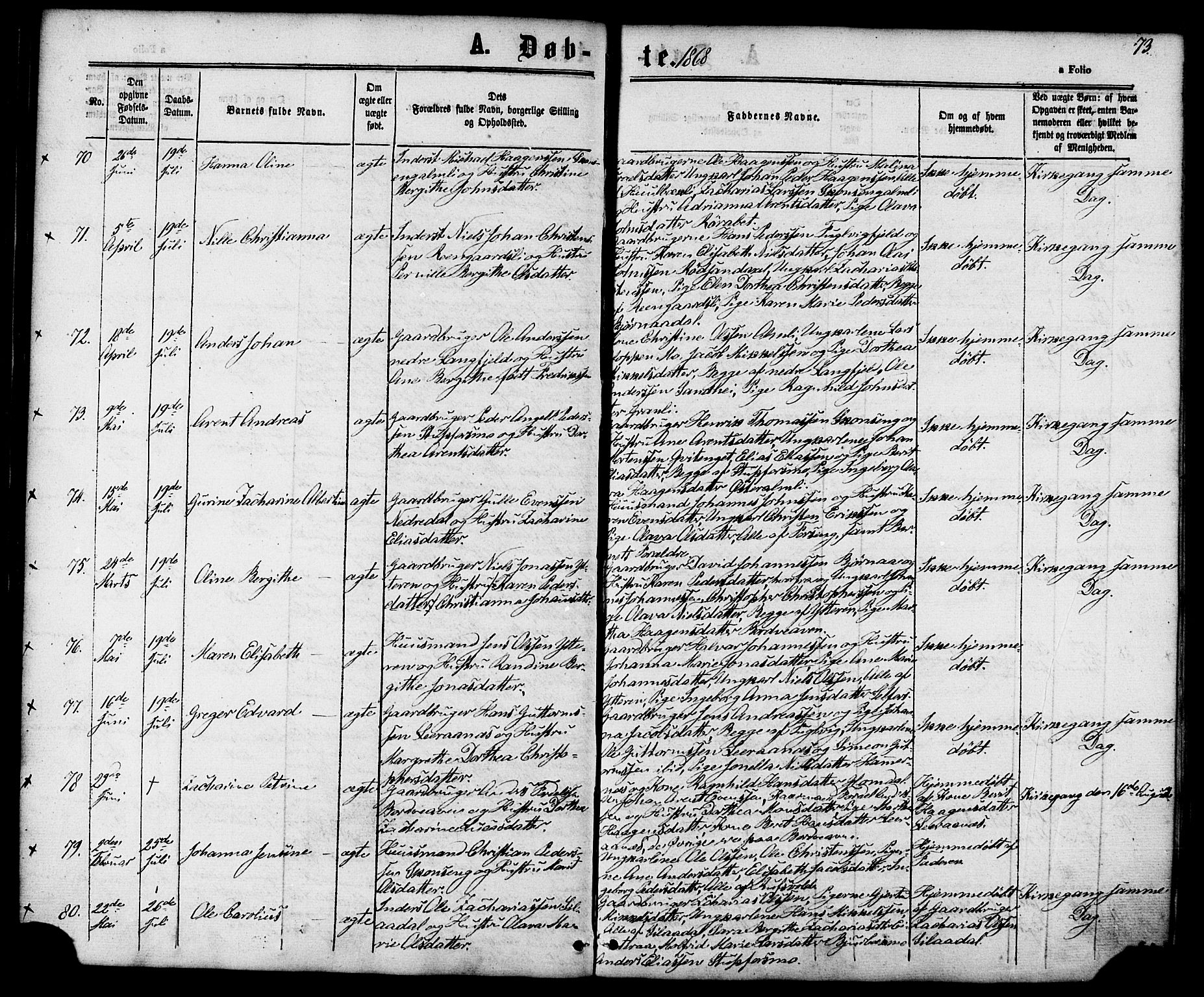 Ministerialprotokoller, klokkerbøker og fødselsregistre - Nordland, AV/SAT-A-1459/827/L0393: Parish register (official) no. 827A05, 1863-1883, p. 73