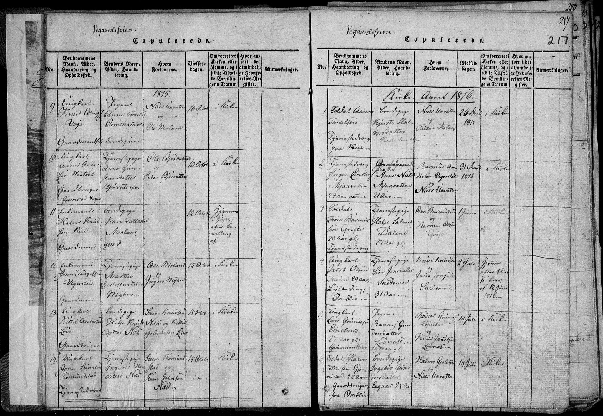 Holt sokneprestkontor, AV/SAK-1111-0021/F/Fa/L0005: Parish register (official) no. A 5, 1813-1821, p. 217