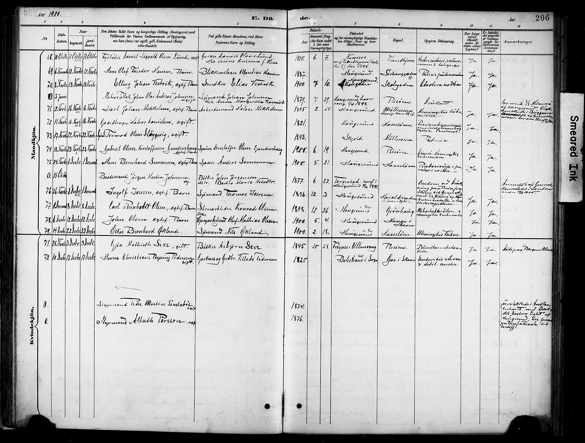 Haugesund sokneprestkontor, AV/SAST-A -101863/H/Ha/Haa/L0005: Parish register (official) no. A 5, 1891-1903, p. 206