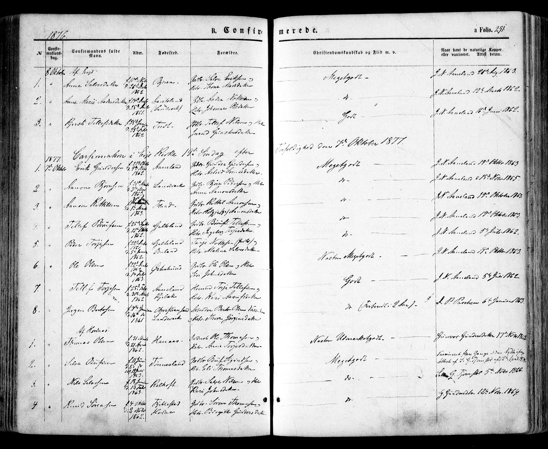 Evje sokneprestkontor, AV/SAK-1111-0008/F/Fa/Faa/L0006: Parish register (official) no. A 6, 1866-1884, p. 251