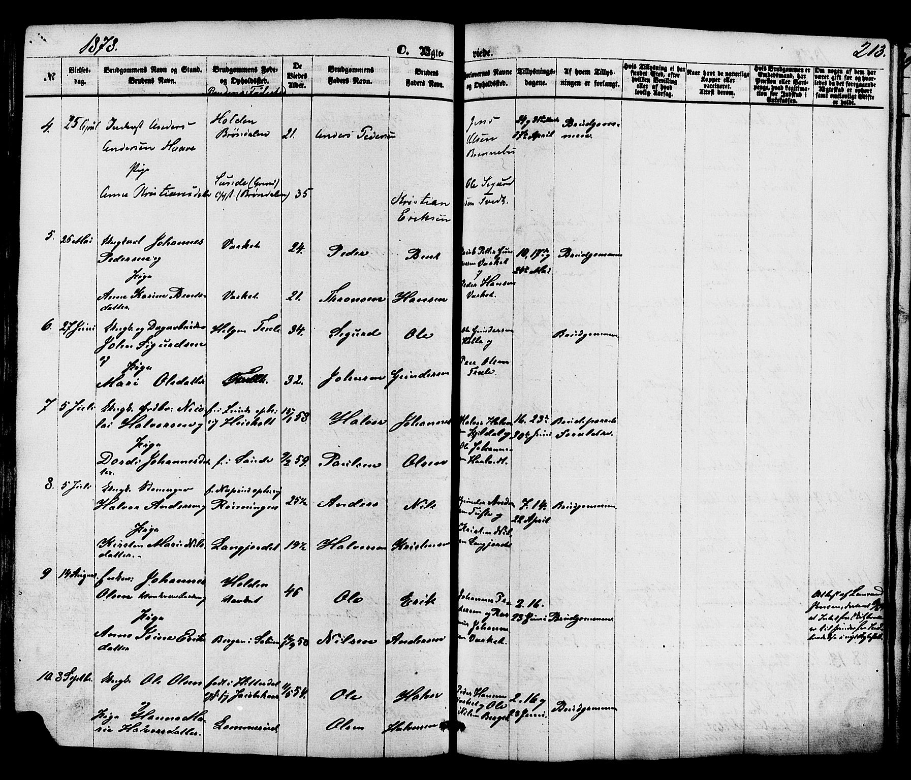 Holla kirkebøker, SAKO/A-272/F/Fa/L0007: Parish register (official) no. 7, 1869-1881, p. 213