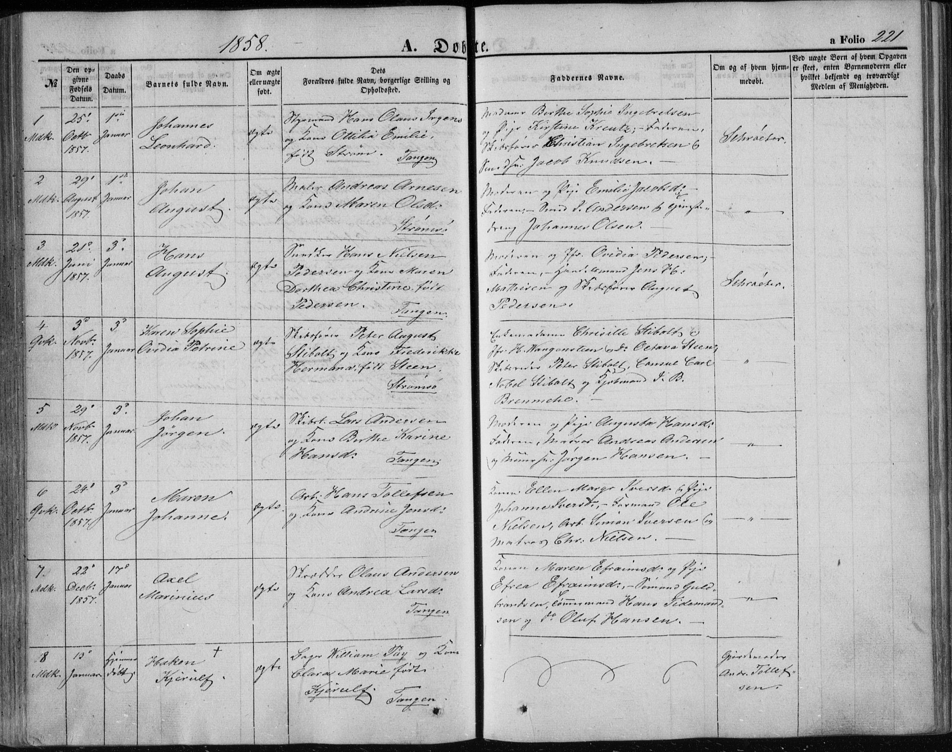 Strømsø kirkebøker, AV/SAKO-A-246/F/Fa/L0014: Parish register (official) no. I 14, 1848-1858, p. 221