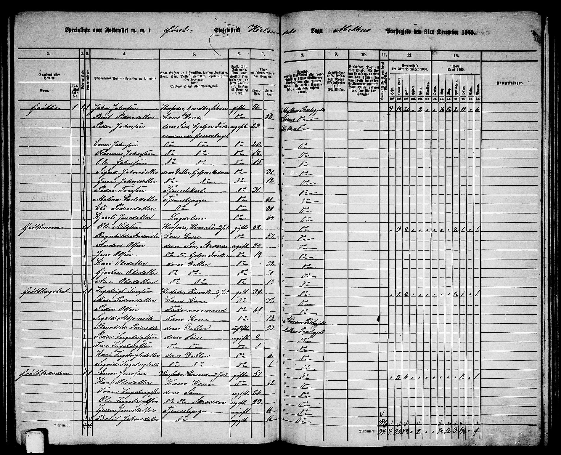 RA, 1865 census for Melhus, 1865, p. 155