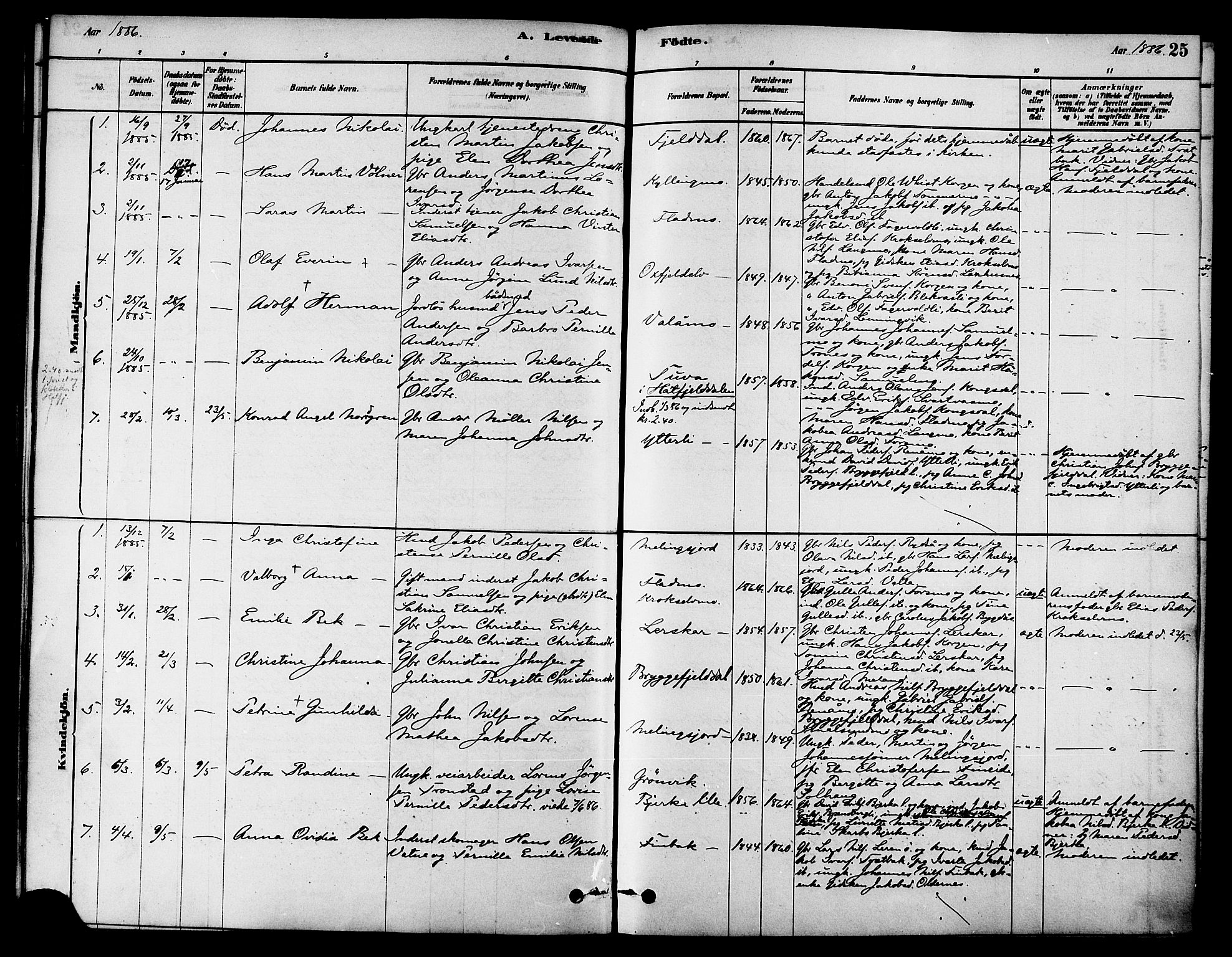 Ministerialprotokoller, klokkerbøker og fødselsregistre - Nordland, AV/SAT-A-1459/826/L0379: Parish register (official) no. 826A02, 1878-1895, p. 25