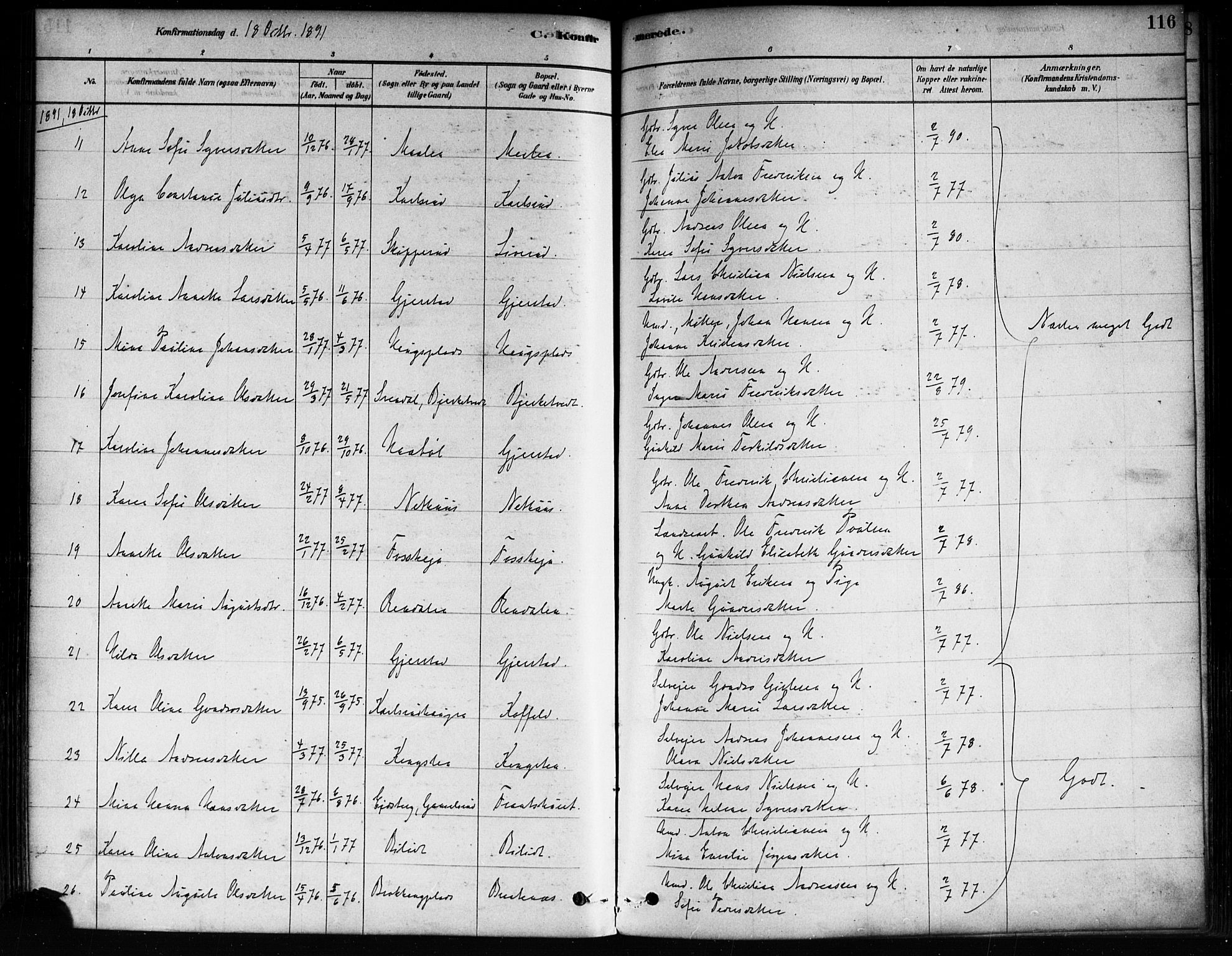 Skiptvet prestekontor Kirkebøker, AV/SAO-A-20009/F/Fa/L0009: Parish register (official) no. 9, 1878-1900, p. 116