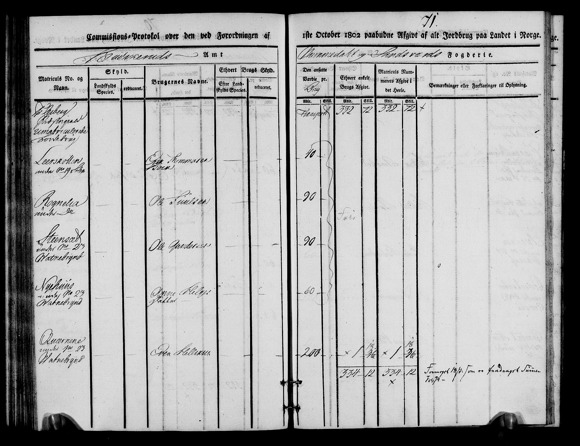 Rentekammeret inntil 1814, Realistisk ordnet avdeling, AV/RA-EA-4070/N/Ne/Nea/L0055: Numedal og Sandsvær fogderi. Kommisjonsprotokoll for Flesberg prestegjeld, 1803, p. 72