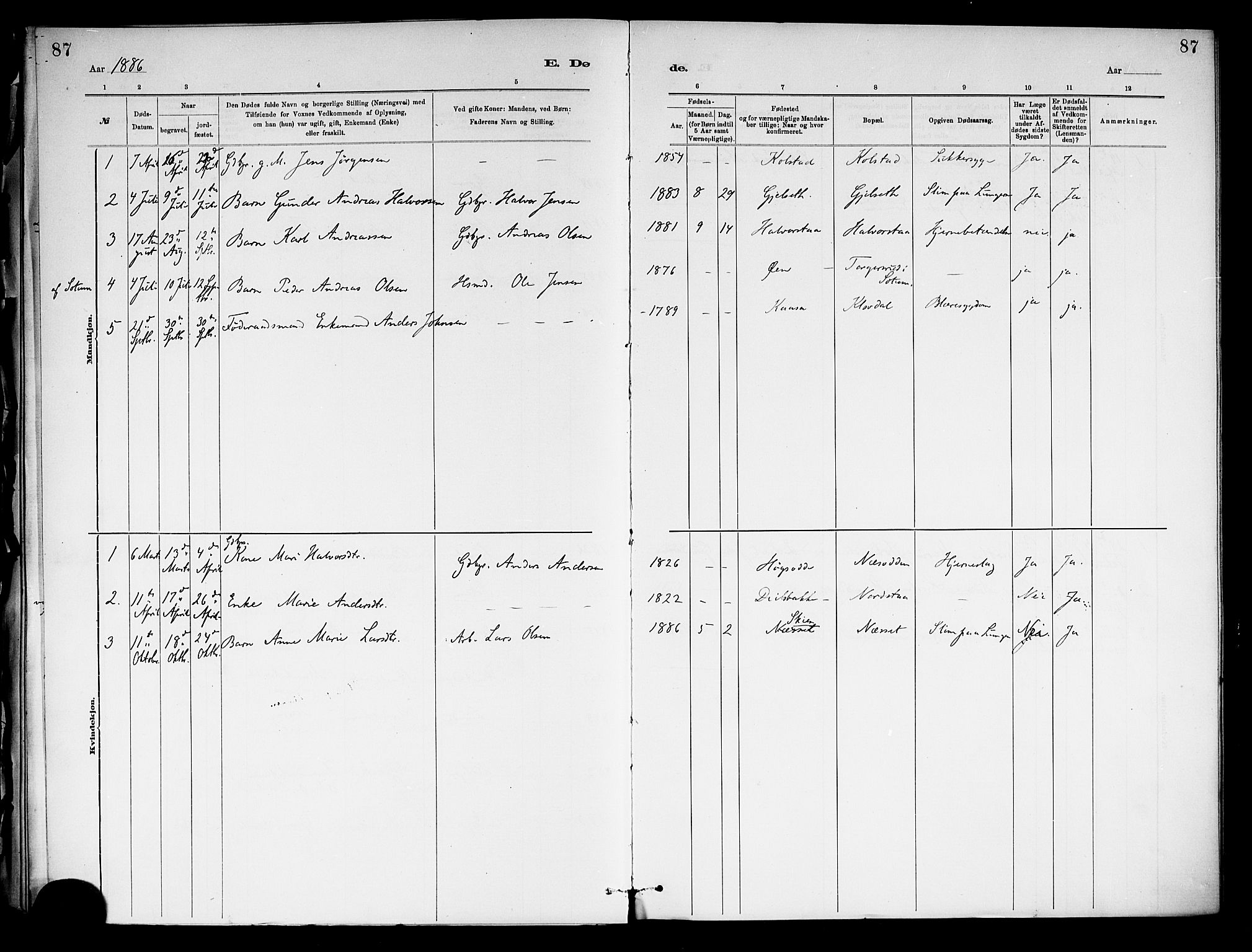 Holla kirkebøker, SAKO/A-272/F/Fa/L0009: Parish register (official) no. 9, 1881-1897, p. 87
