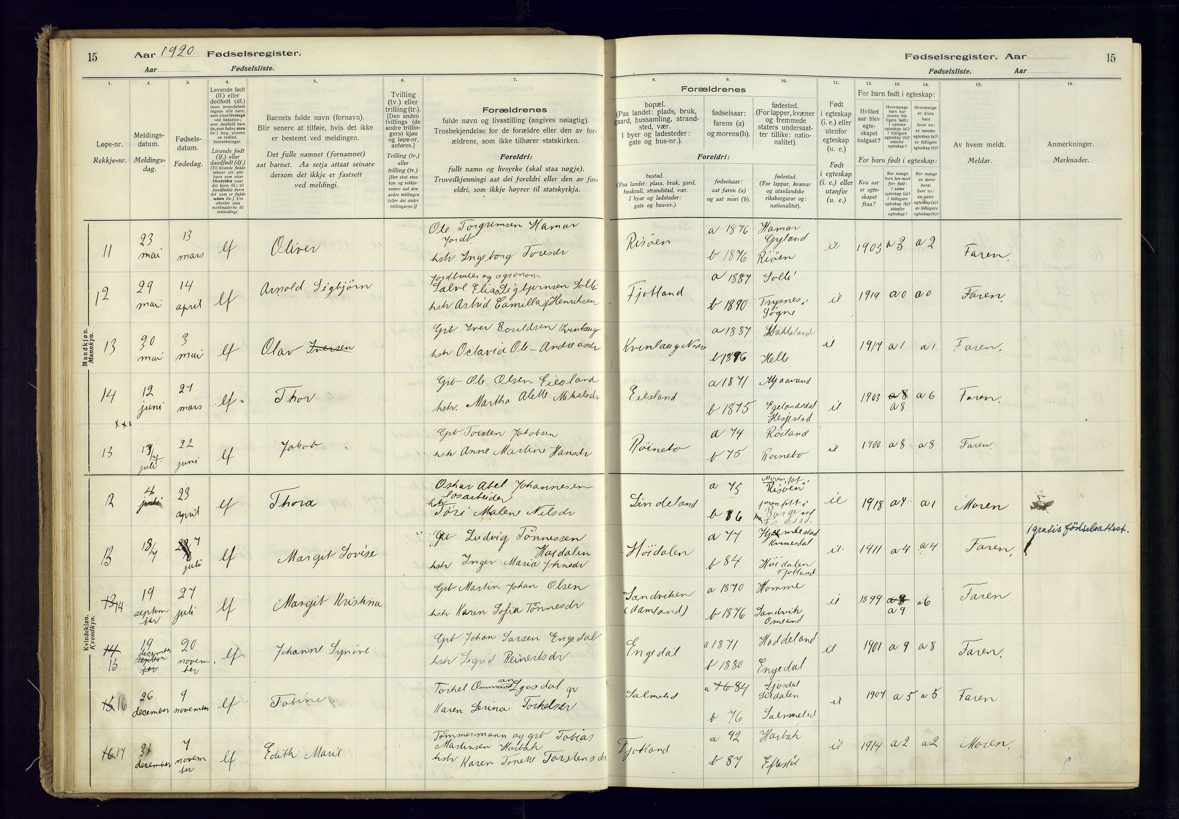 Fjotland sokneprestkontor, AV/SAK-1111-0010/J/Ja/L0001: Birth register no. 1, 1916-1981, p. 15