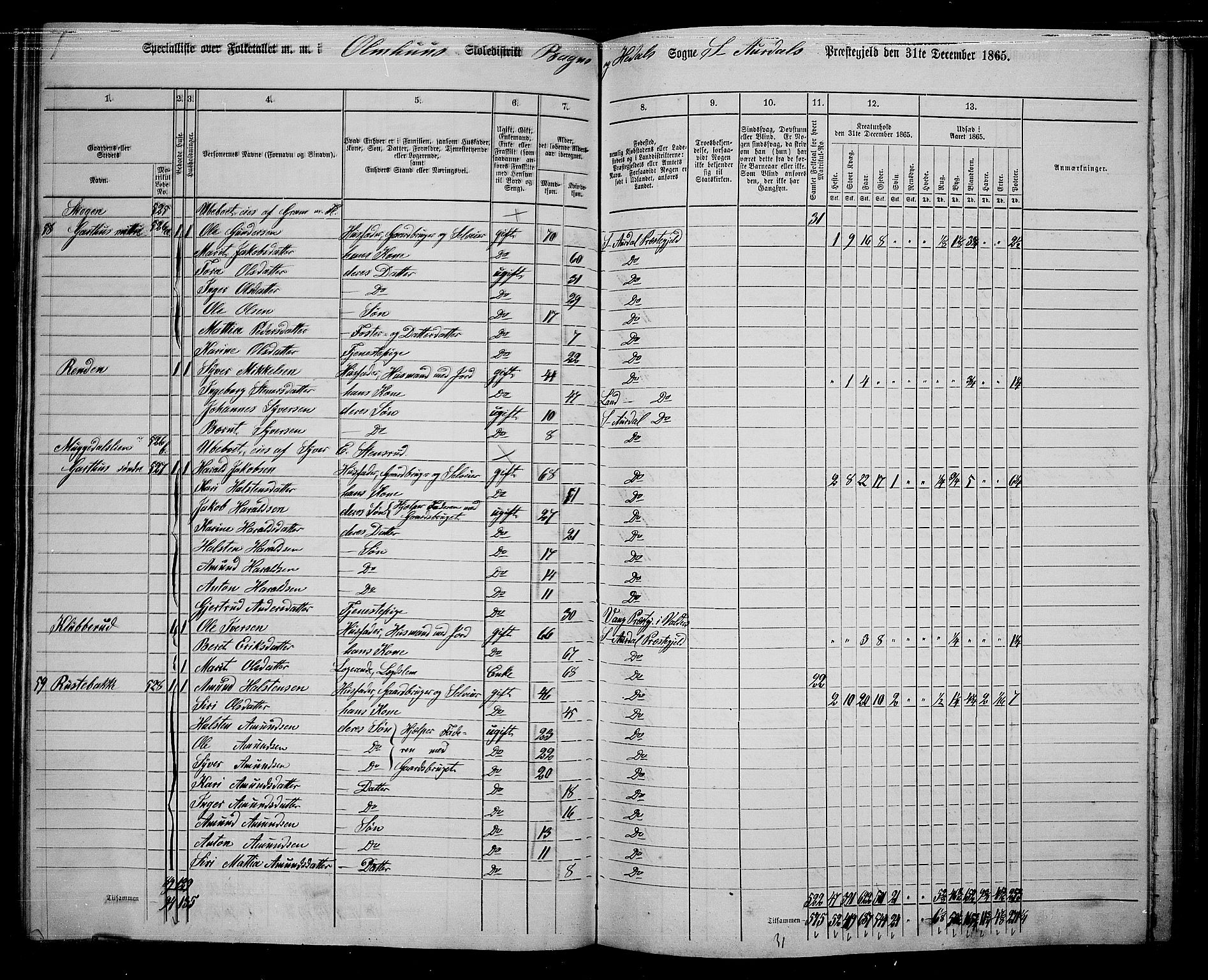 RA, 1865 census for Sør-Aurdal, 1865, p. 118