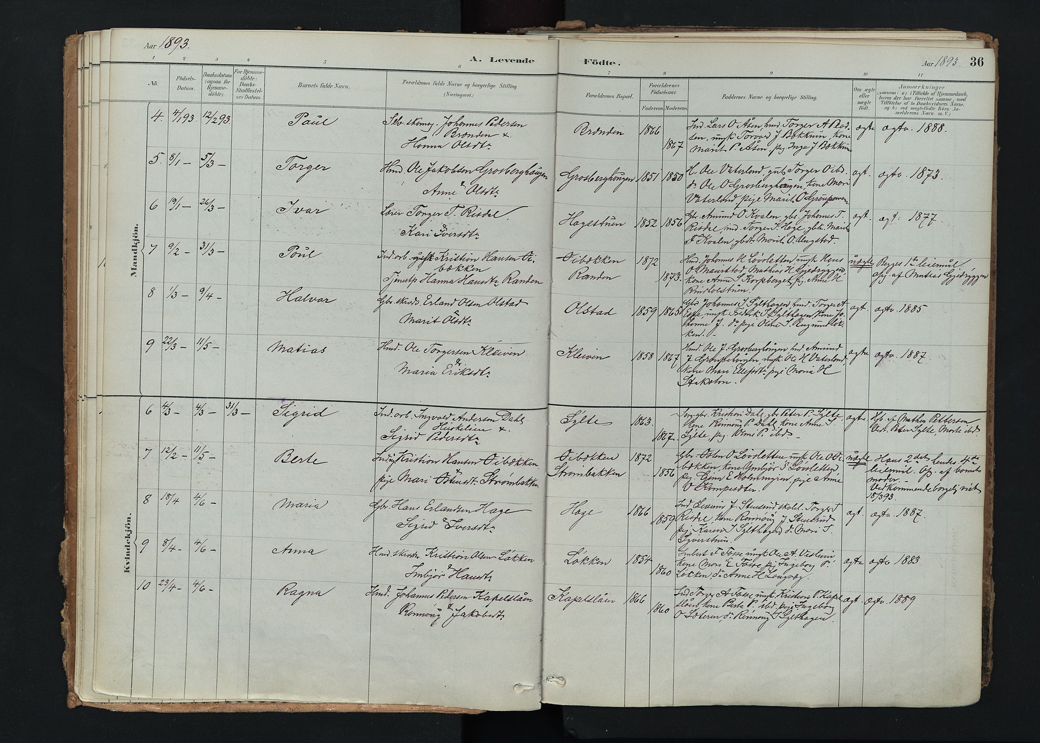 Nord-Fron prestekontor, SAH/PREST-080/H/Ha/Haa/L0005: Parish register (official) no. 5, 1884-1914, p. 36