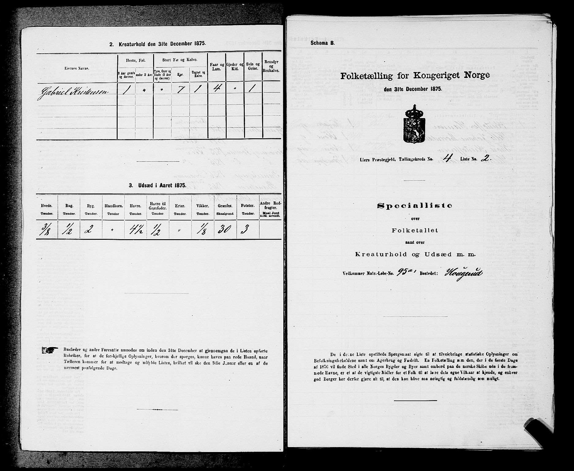 SAKO, 1875 census for 0626P Lier, 1875, p. 700