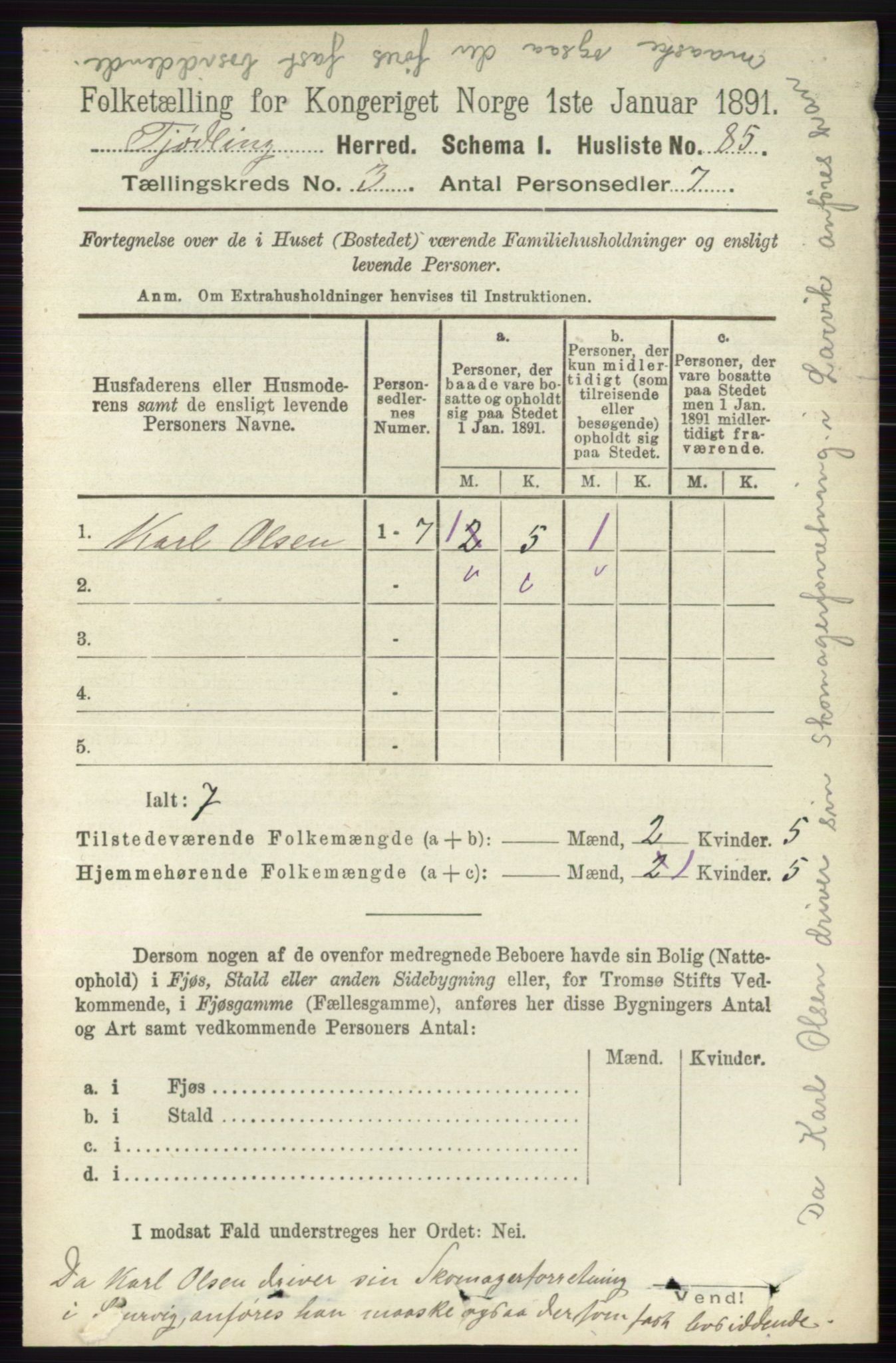 RA, 1891 census for 0725 Tjølling, 1891, p. 913