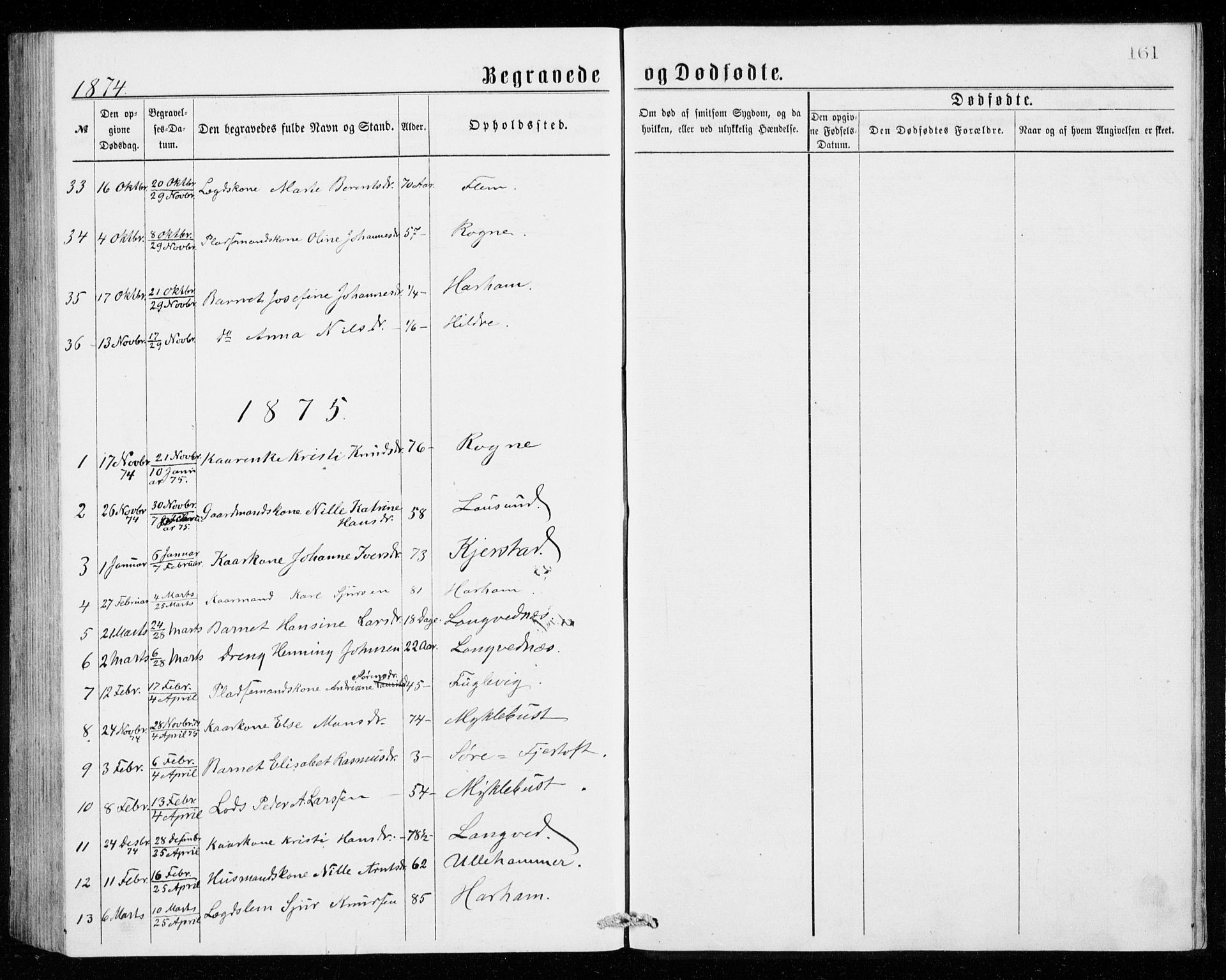 Ministerialprotokoller, klokkerbøker og fødselsregistre - Møre og Romsdal, AV/SAT-A-1454/536/L0509: Parish register (copy) no. 536C04, 1871-1881, p. 161