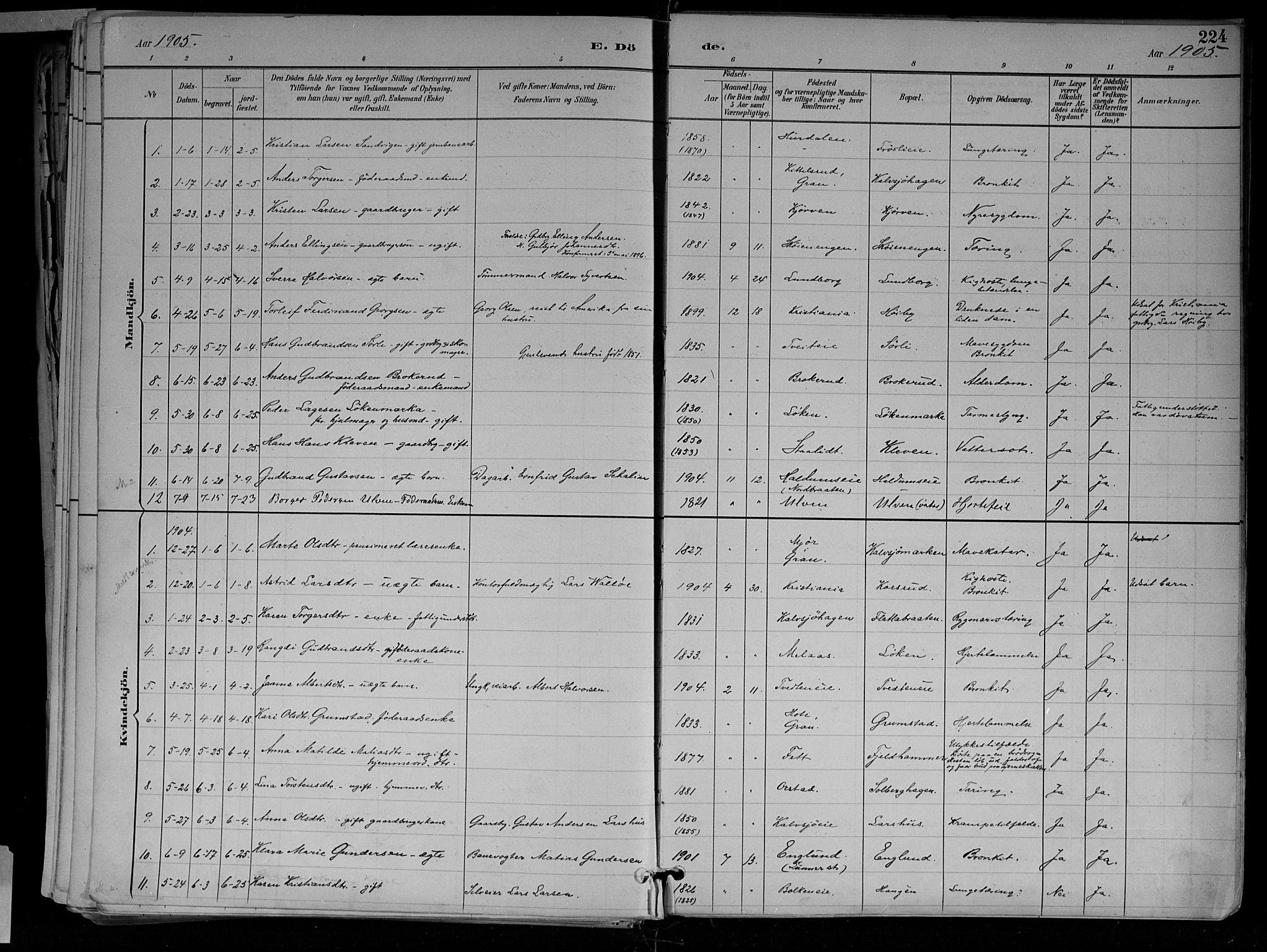 Jevnaker prestekontor, AV/SAH-PREST-116/H/Ha/Haa/L0010: Parish register (official) no. 10, 1891-1906, p. 224