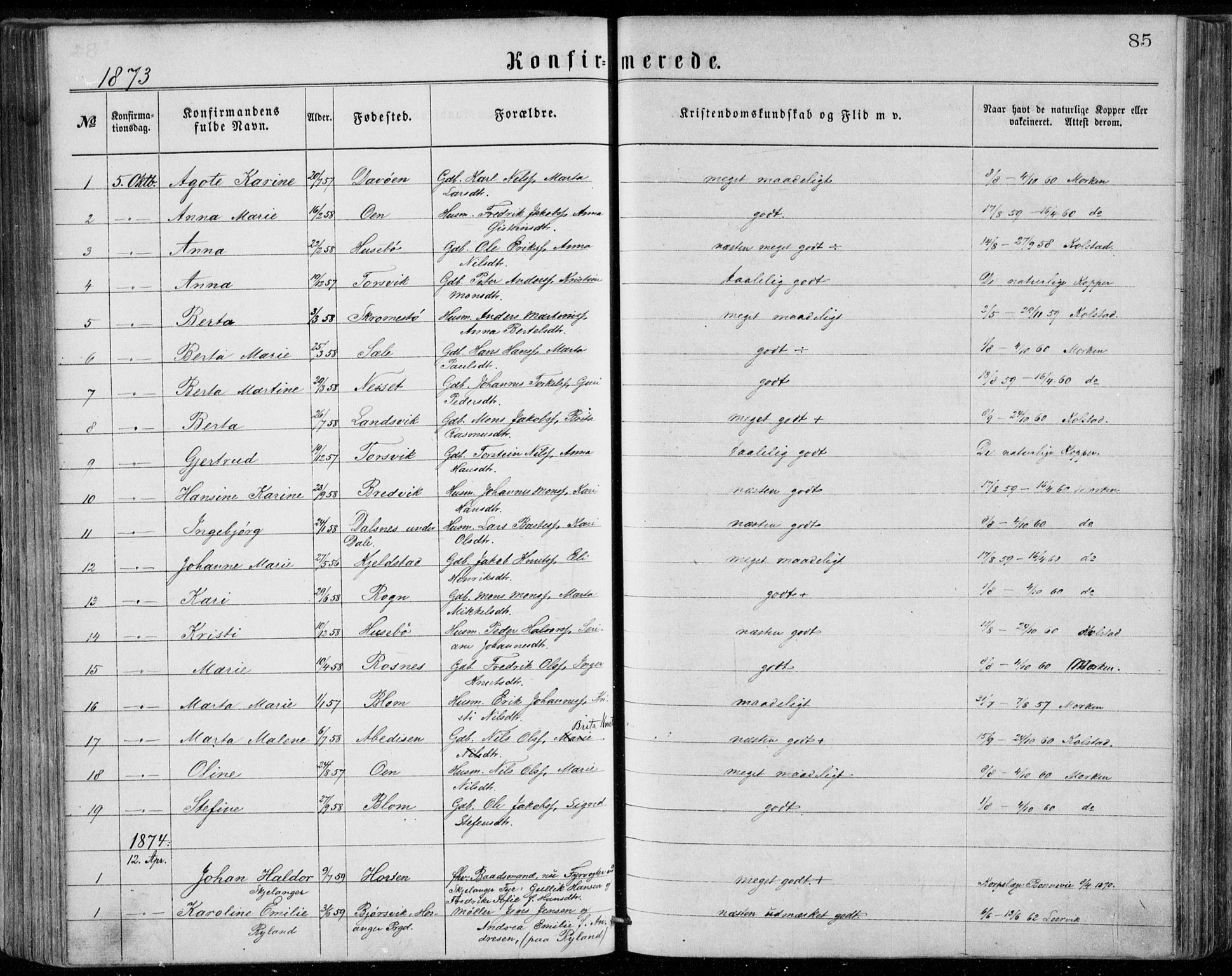 Herdla Sokneprestembete, AV/SAB-A-75701/H/Haa: Parish register (official) no. A 2, 1869-1877, p. 85