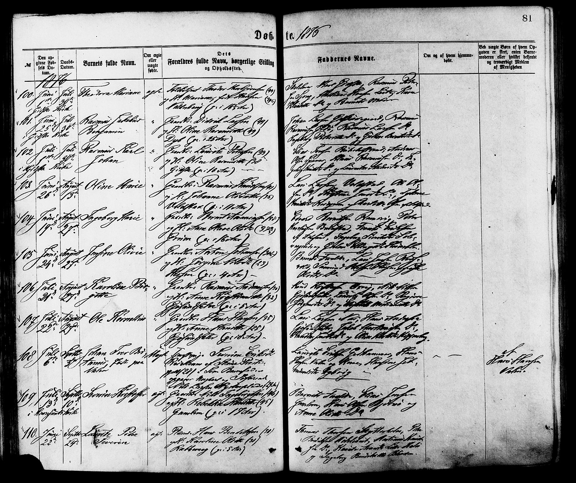 Ministerialprotokoller, klokkerbøker og fødselsregistre - Møre og Romsdal, AV/SAT-A-1454/528/L0400: Parish register (official) no. 528A11, 1871-1879, p. 81