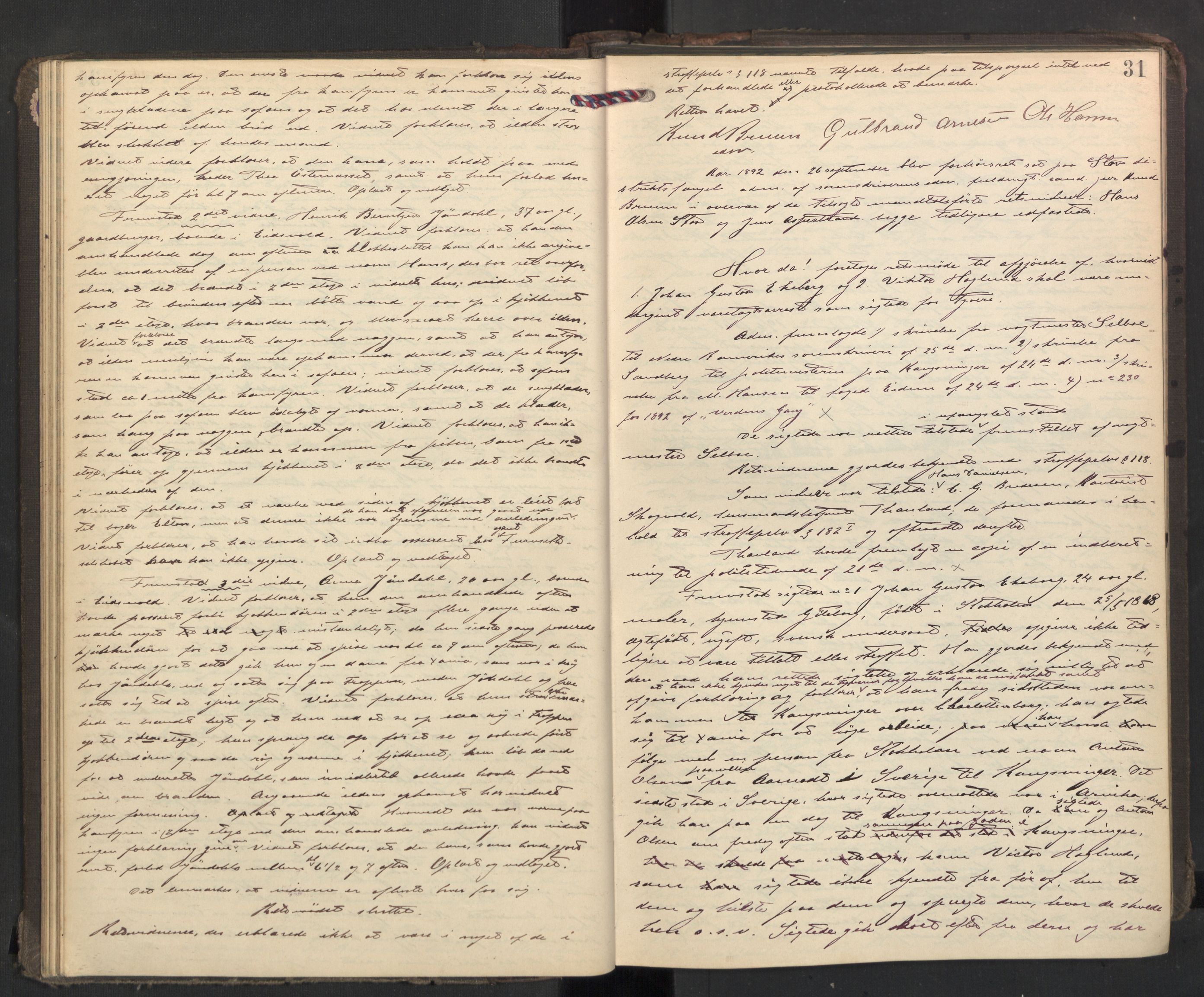 Nedre Romerike sorenskriveri, AV/SAO-A-10469/F/Fc/L0038: Ekstrarettsprotokoll, 1892-1896, p. 30b-31a