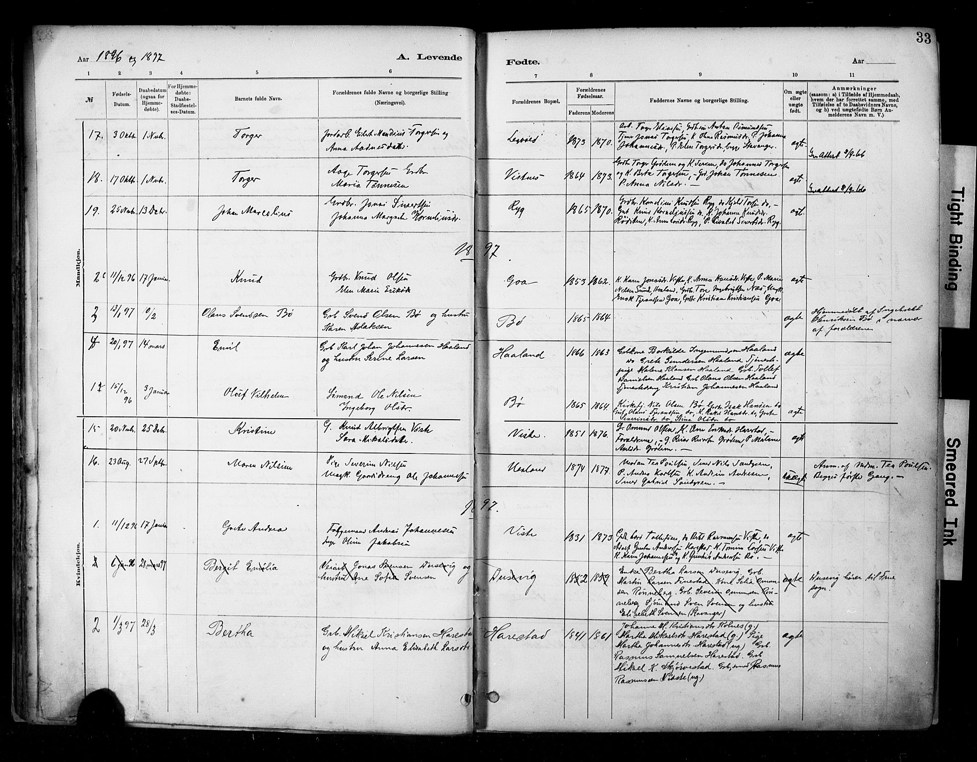 Hetland sokneprestkontor, AV/SAST-A-101826/30/30BA/L0009: Parish register (official) no. A 9, 1882-1918, p. 33