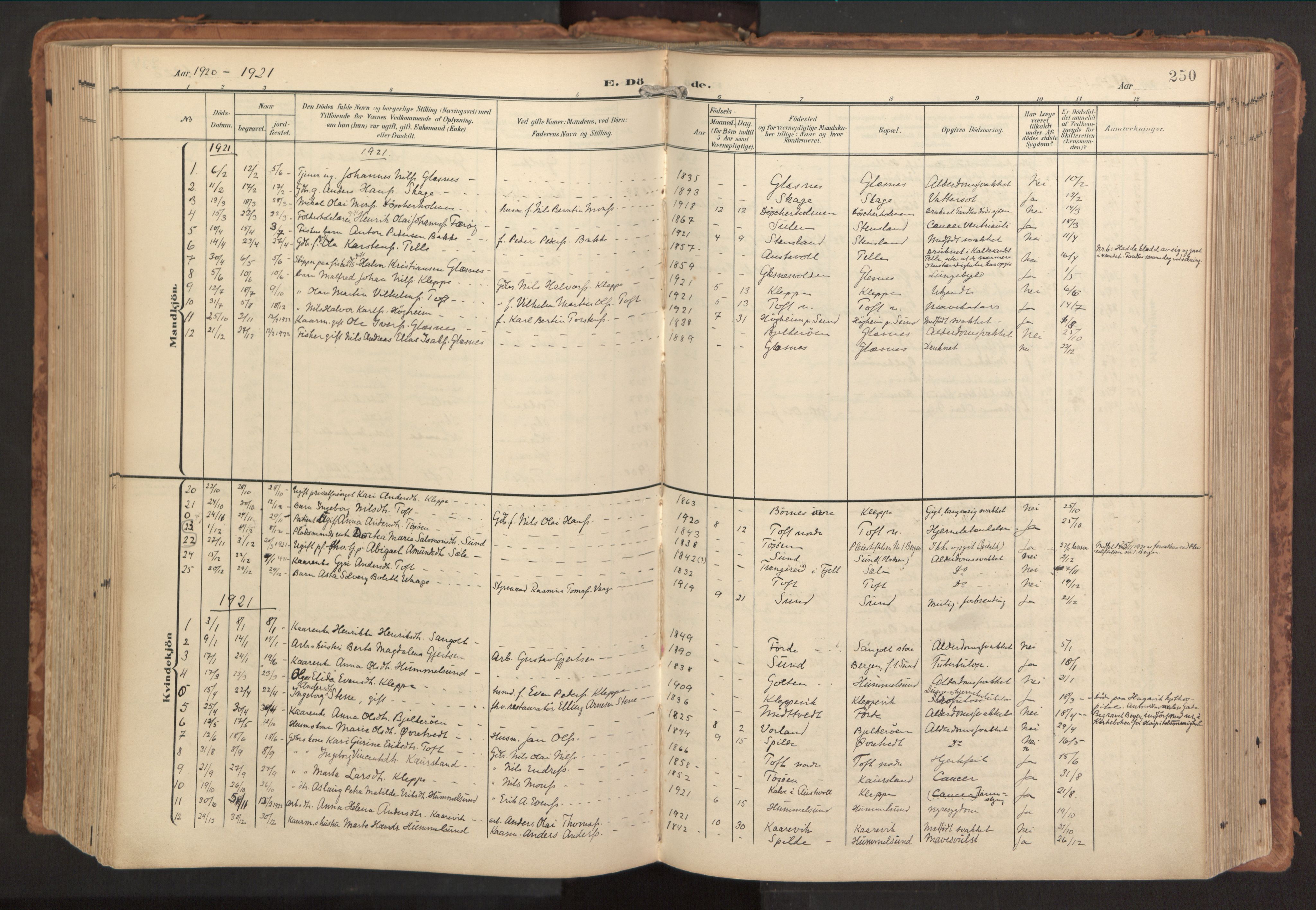Sund sokneprestembete, SAB/A-99930: Parish register (official) no. B 2, 1907-1926, p. 250
