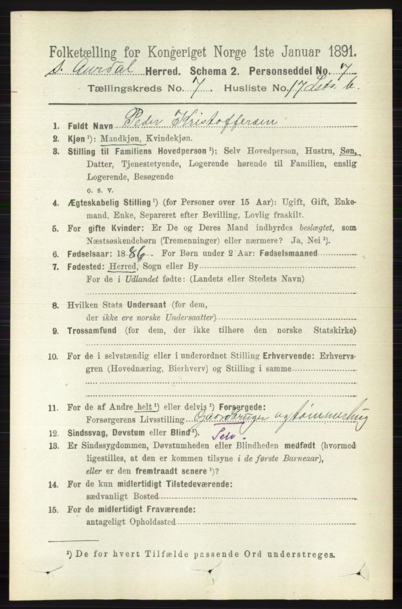 RA, 1891 census for 0540 Sør-Aurdal, 1891, p. 4503