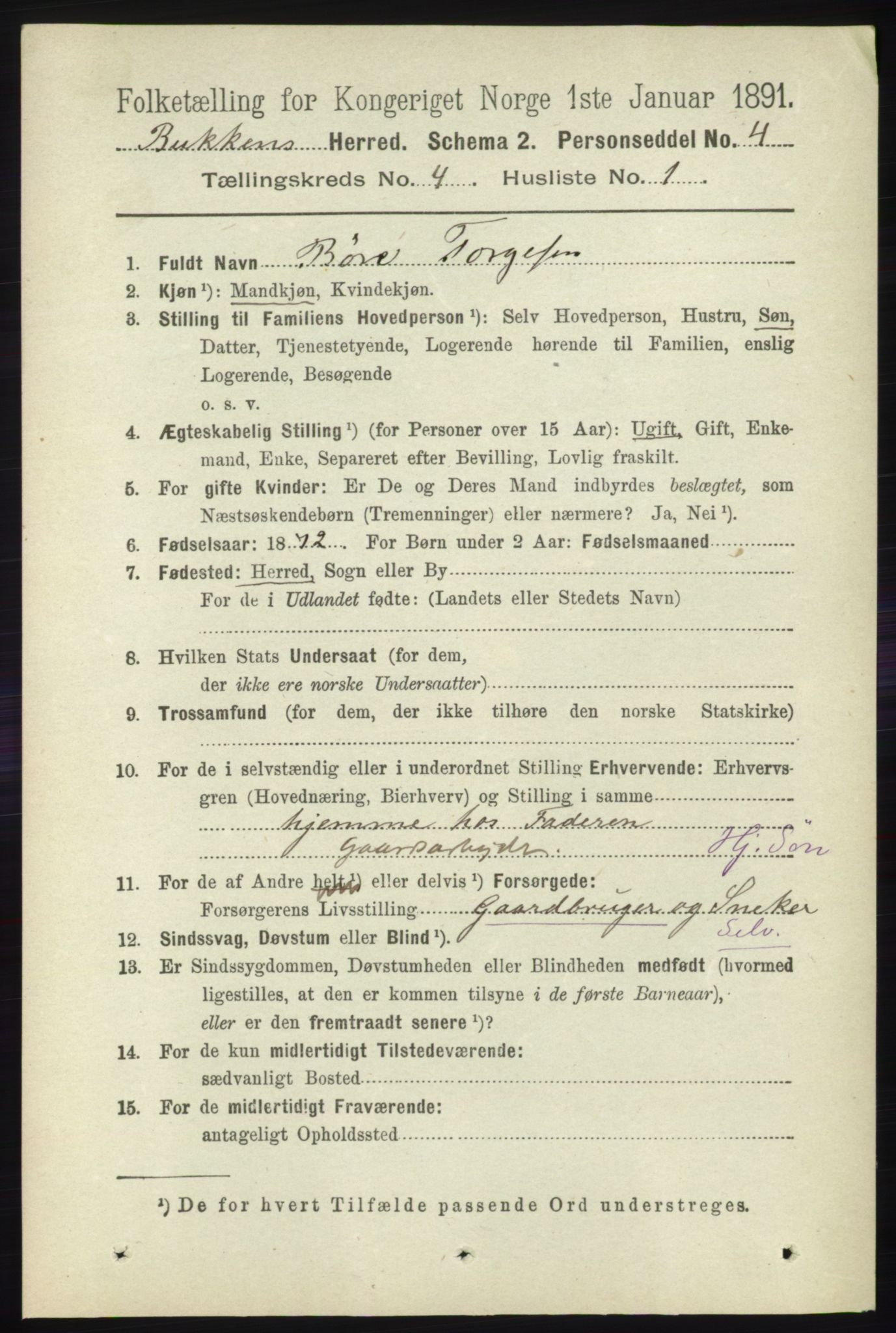 RA, 1891 census for 1145 Bokn, 1891, p. 869