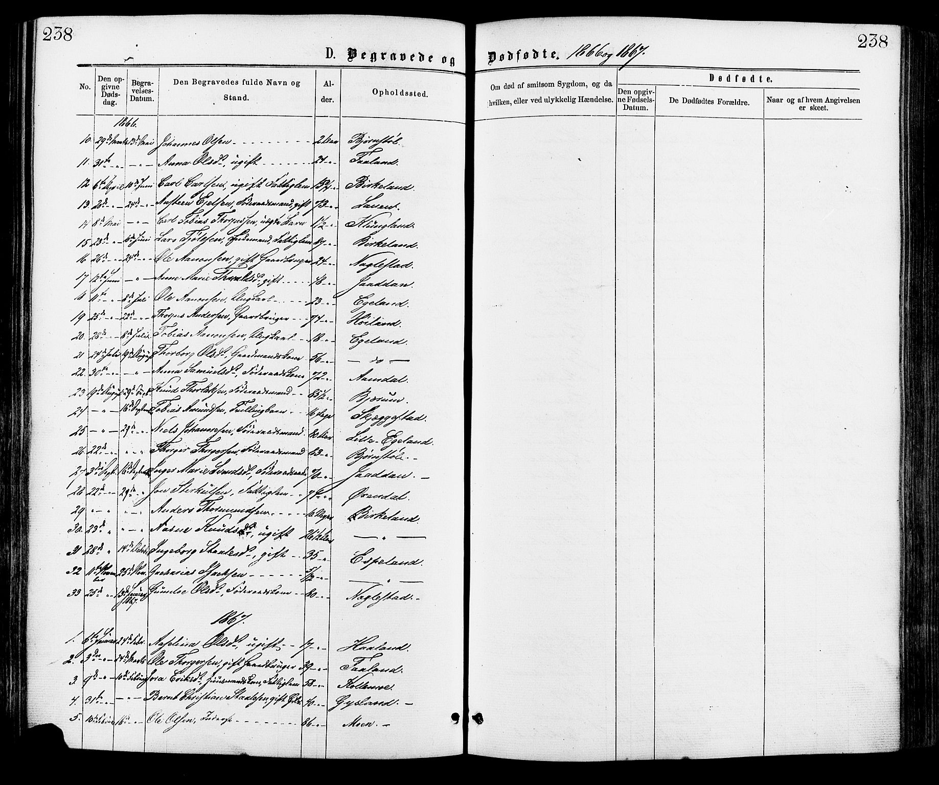 Hægebostad sokneprestkontor, AV/SAK-1111-0024/F/Fa/Faa/L0005: Parish register (official) no. A 5, 1864-1886, p. 238