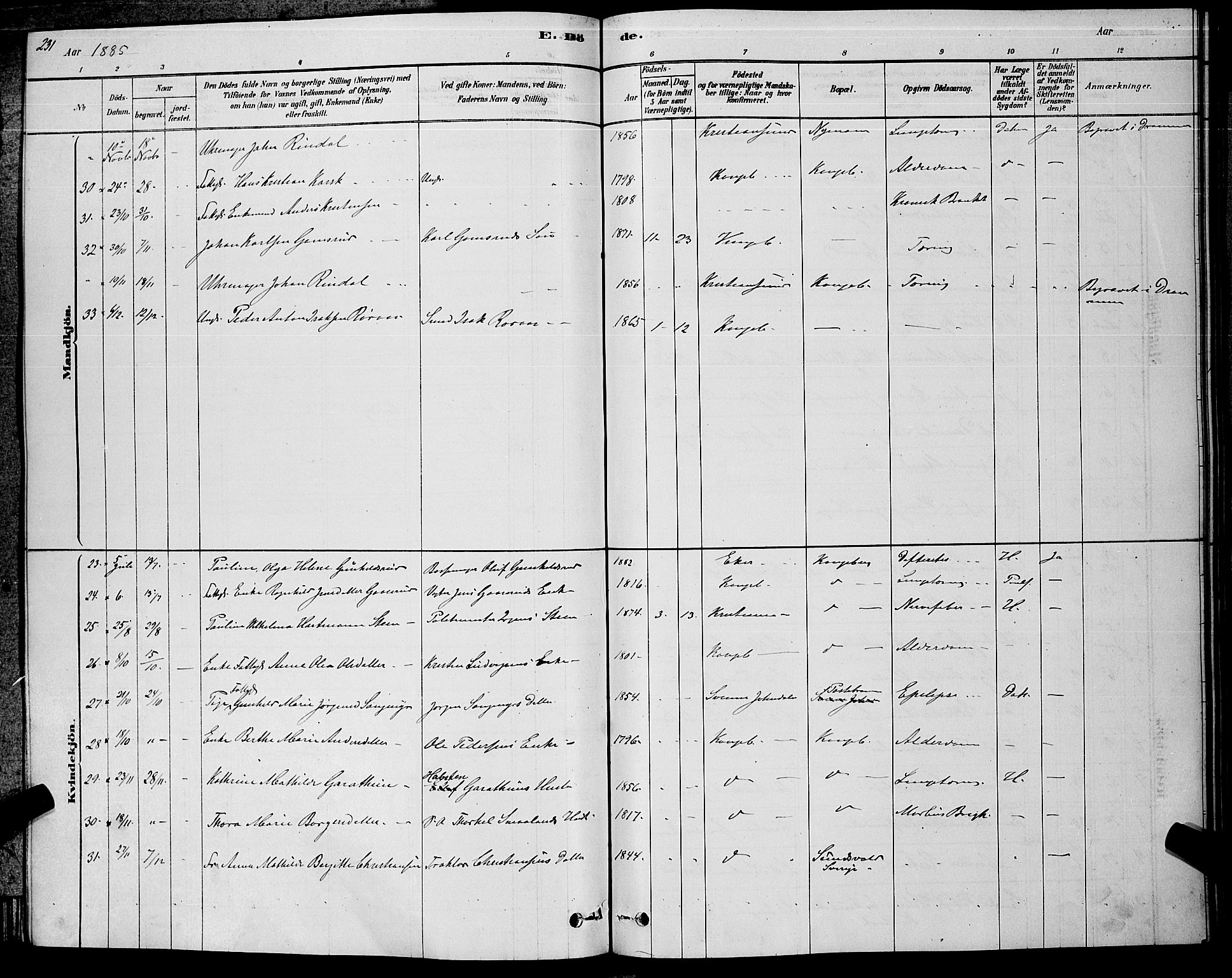 Kongsberg kirkebøker, SAKO/A-22/G/Ga/L0005: Parish register (copy) no. 5, 1878-1889, p. 231