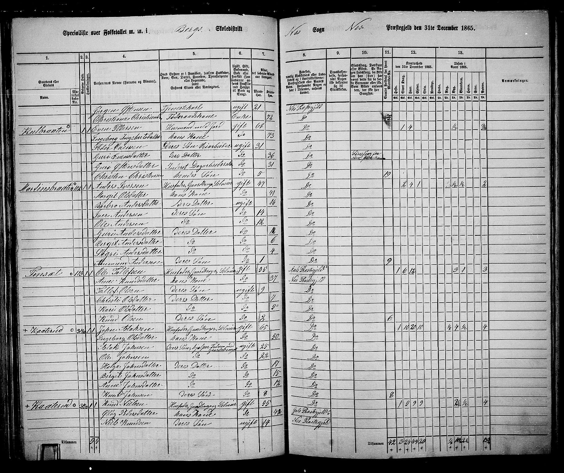 RA, 1865 census for Nes, 1865, p. 94