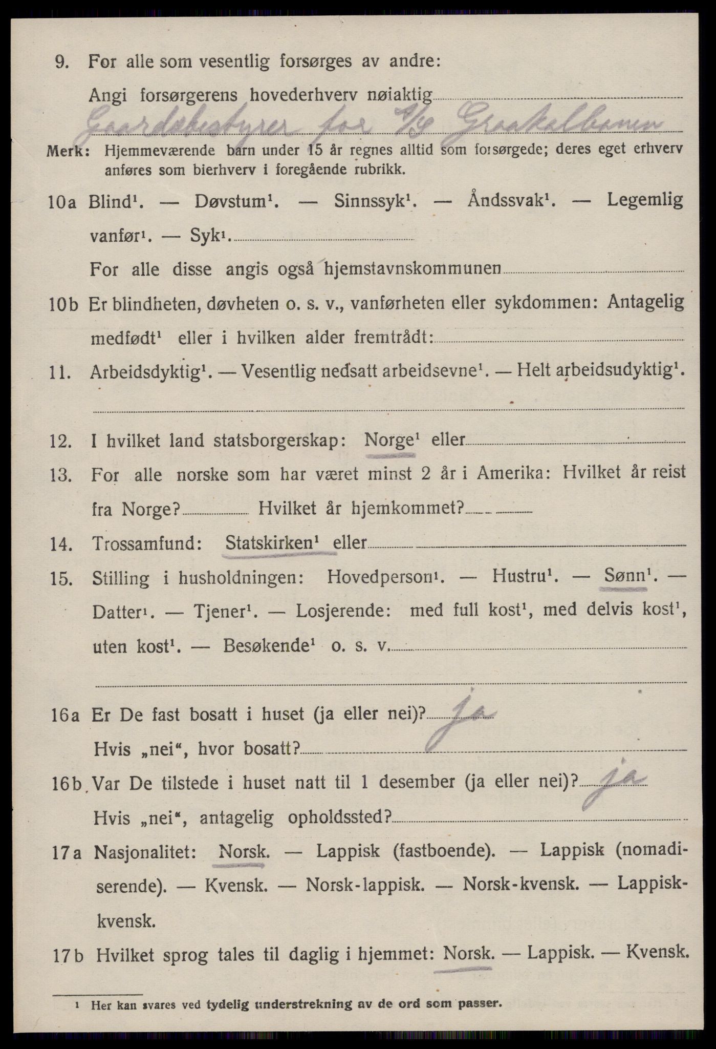 SAT, 1920 census for Strinda, 1920, p. 26115