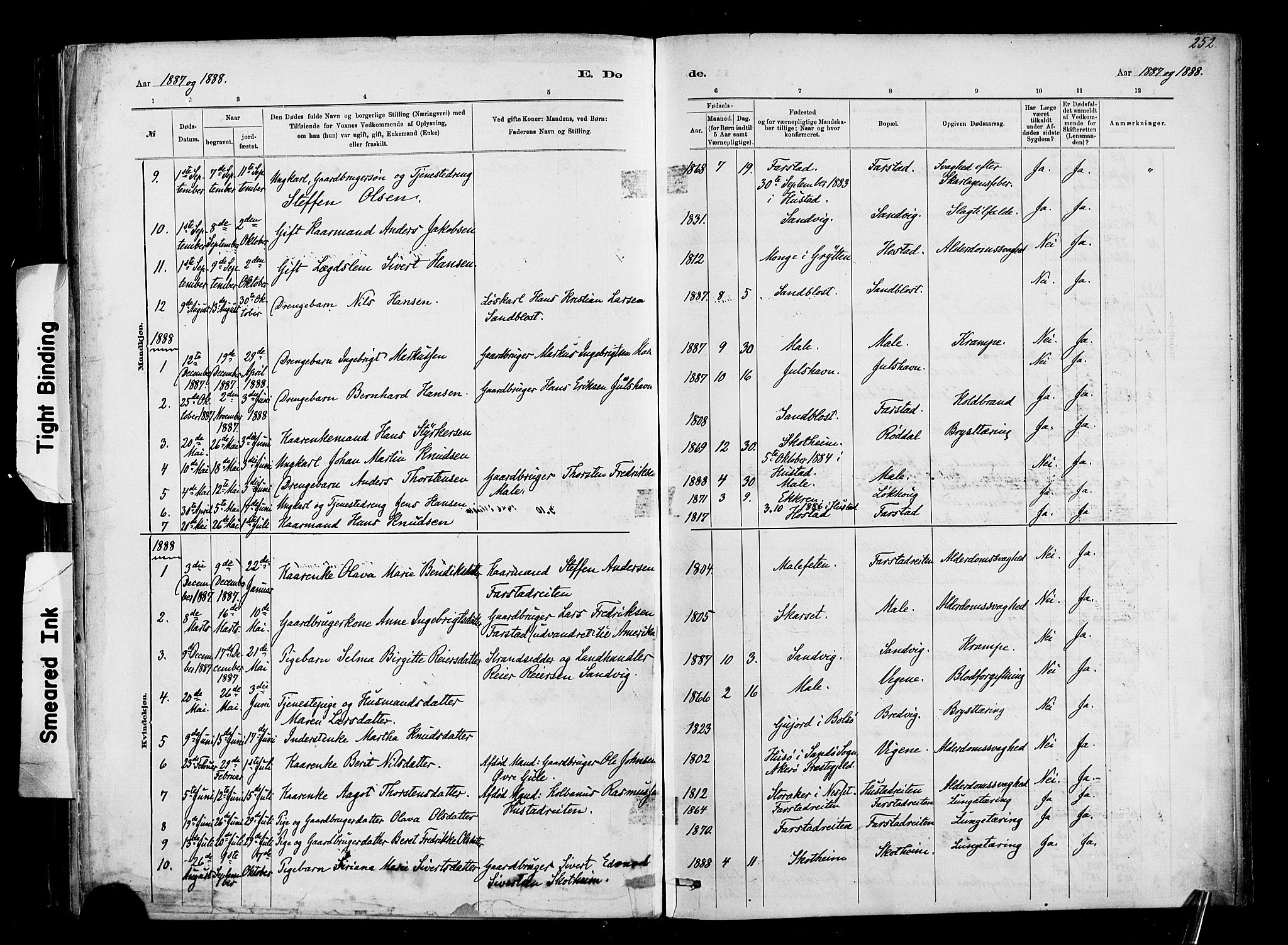 Ministerialprotokoller, klokkerbøker og fødselsregistre - Møre og Romsdal, AV/SAT-A-1454/567/L0778: Parish register (official) no. 567A01, 1881-1903, p. 252