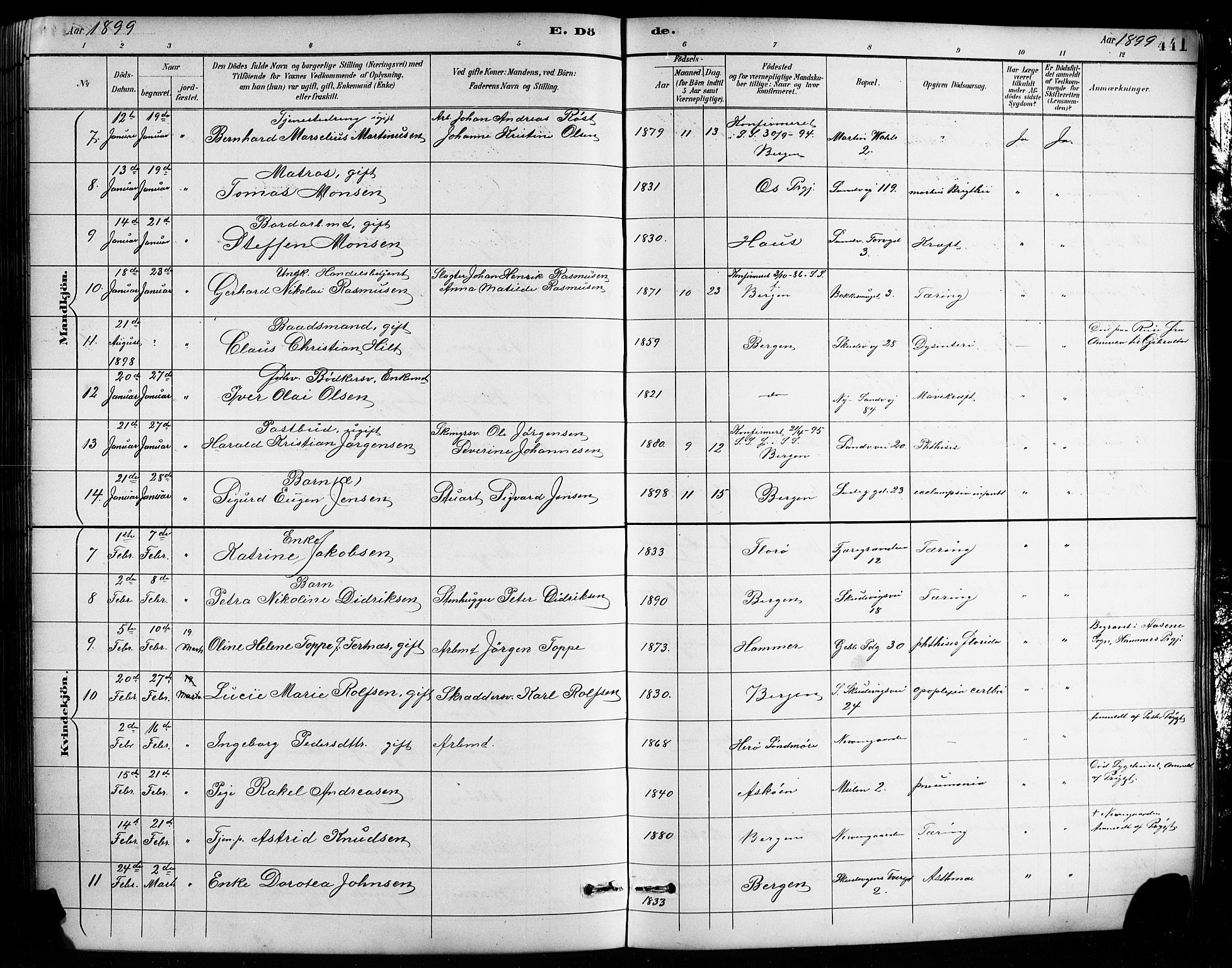 Sandviken Sokneprestembete, AV/SAB-A-77601/H/Hb/L0002: Parish register (copy) no. A 3, 1888-1902, p. 441