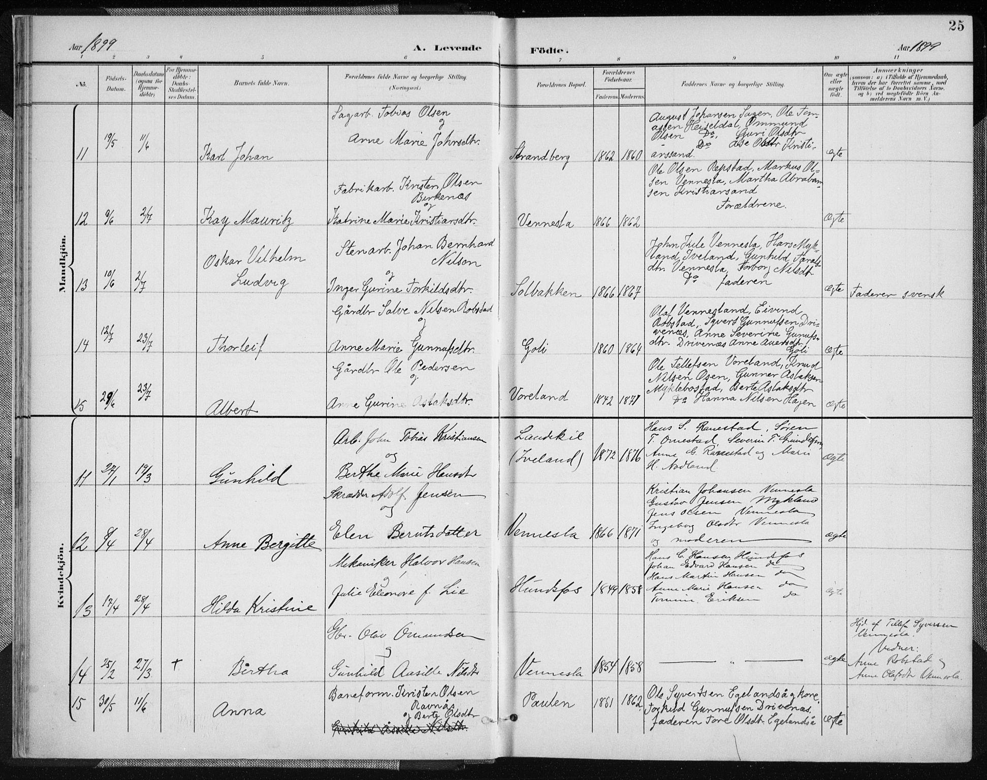 Vennesla sokneprestkontor, AV/SAK-1111-0045/Fa/Fab/L0005: Parish register (official) no. A 5, 1897-1909, p. 25