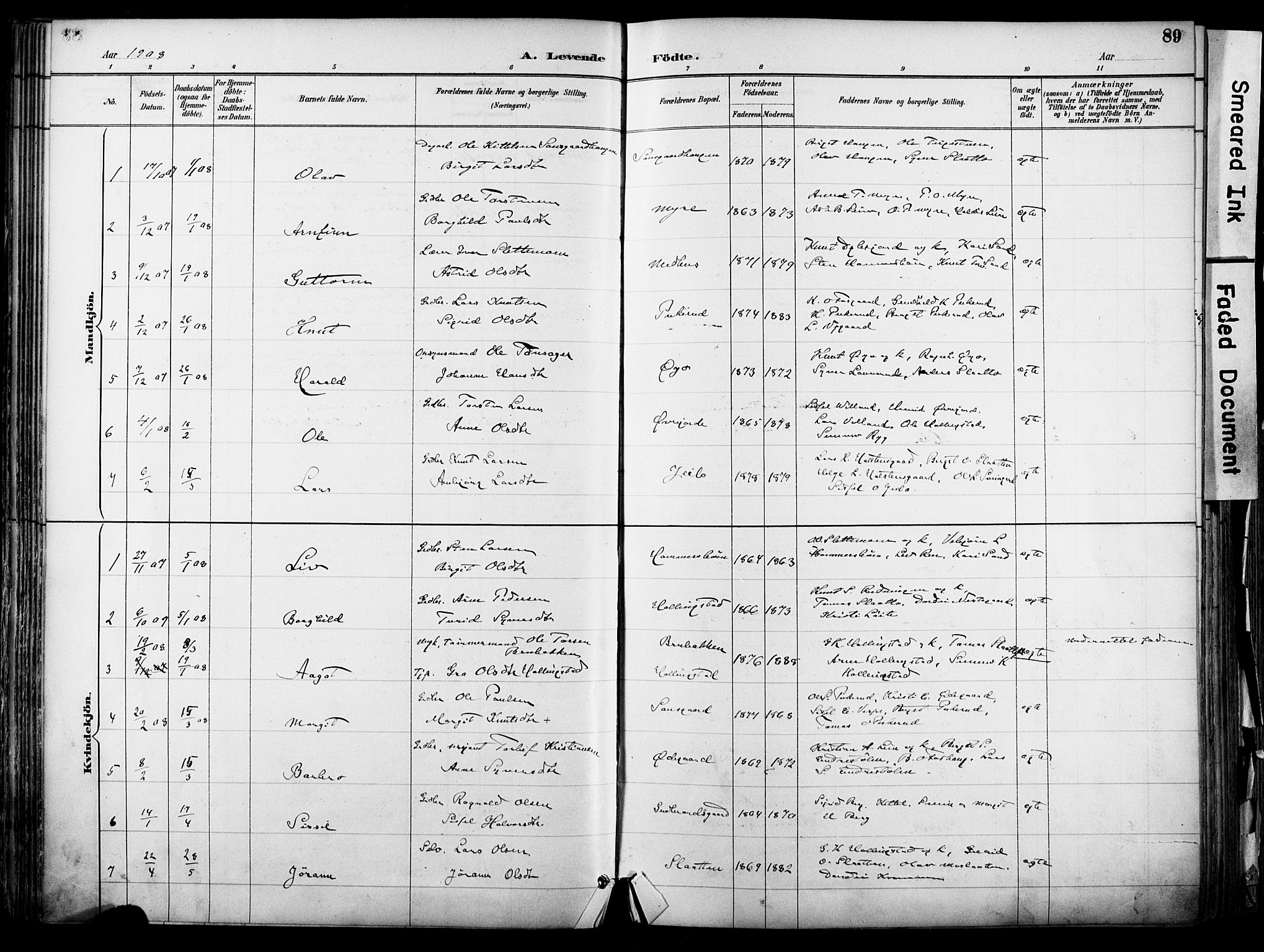 Hol kirkebøker, SAKO/A-227/F/Fa/L0003: Parish register (official) no. I 3, 1887-1918, p. 89