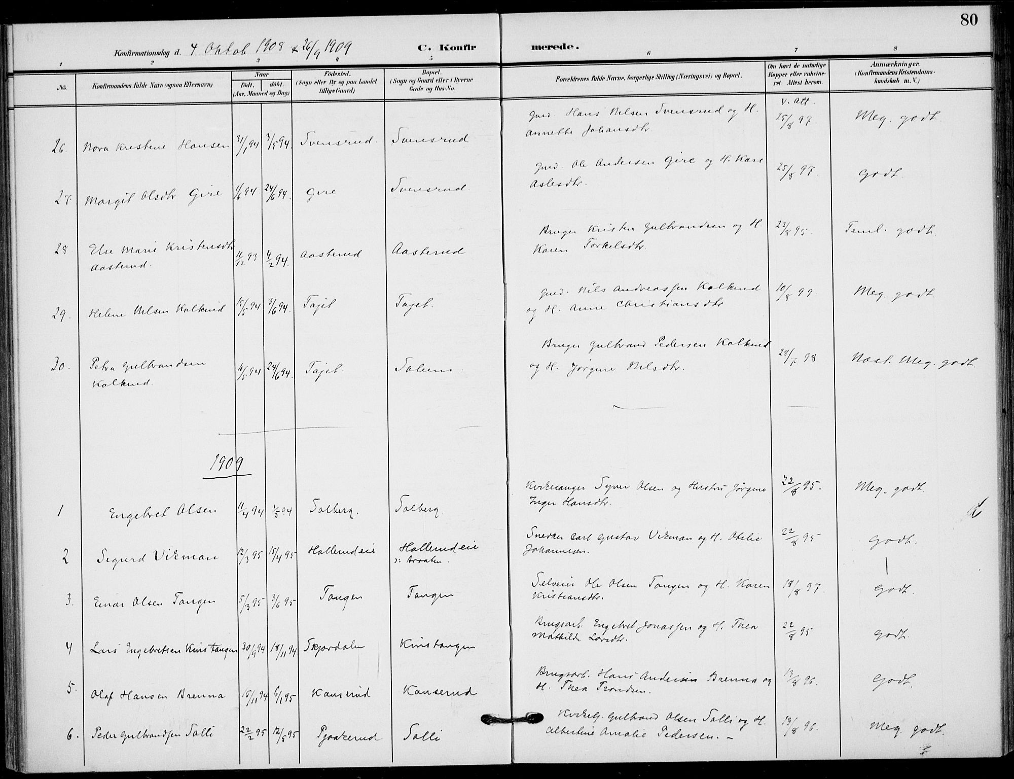 Hole kirkebøker, AV/SAKO-A-228/F/Fb/L0003: Parish register (official) no. II 3, 1906-1916, p. 80