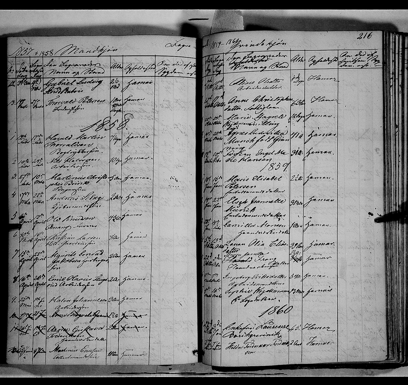 Vang prestekontor, Hedmark, SAH/PREST-008/H/Ha/Haa/L0011: Parish register (official) no. 11, 1852-1877, p. 216