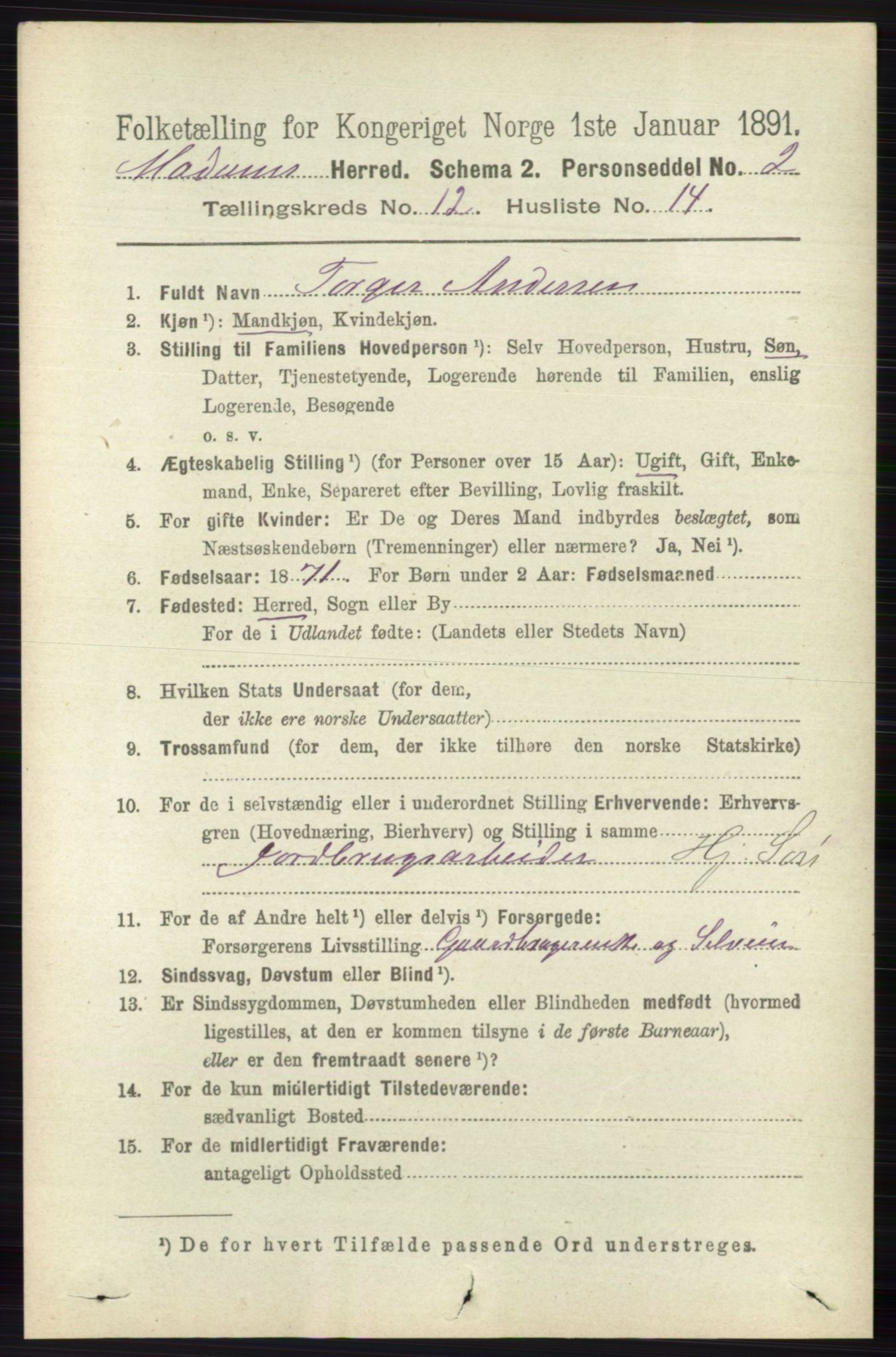 RA, 1891 census for 0623 Modum, 1891, p. 4524