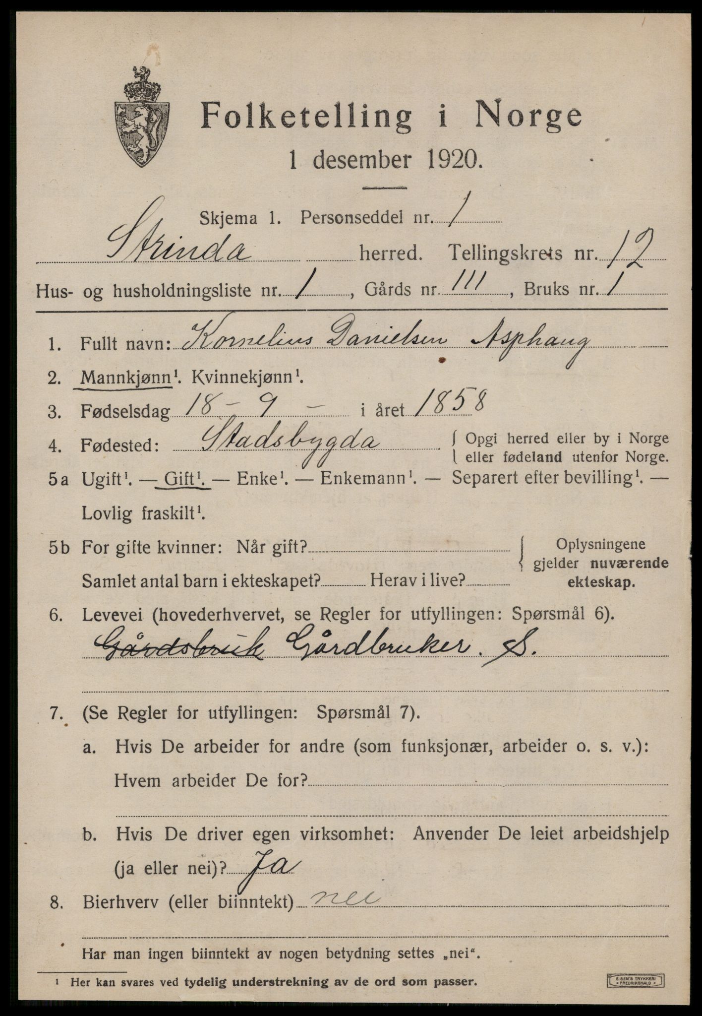 SAT, 1920 census for Strinda, 1920, p. 26118