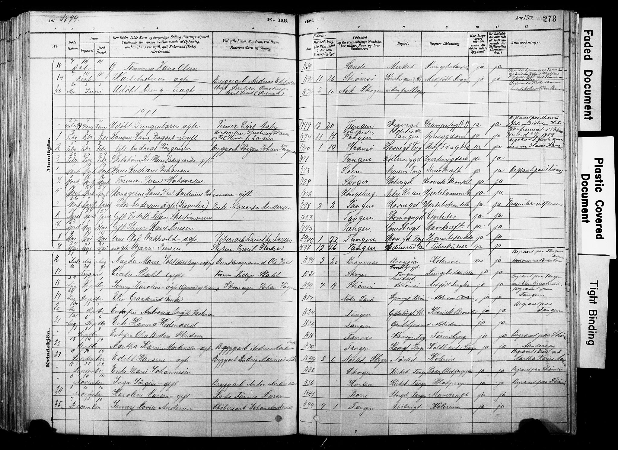 Strømsø kirkebøker, SAKO/A-246/F/Fb/L0006: Parish register (official) no. II 6, 1879-1910, p. 273