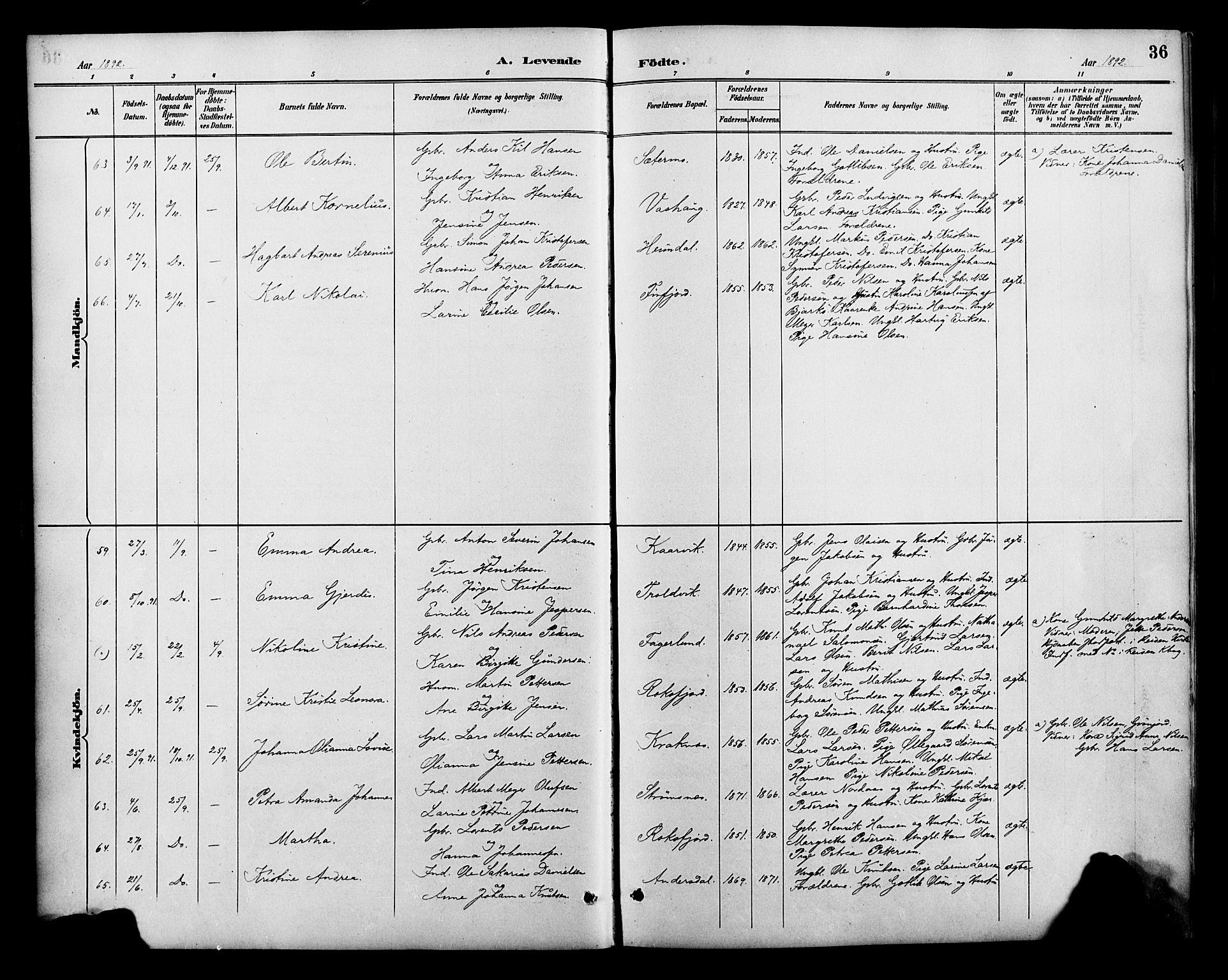 Lenvik sokneprestembete, SATØ/S-1310/H/Ha/Haa/L0013kirke: Parish register (official) no. 13, 1890-1898, p. 36