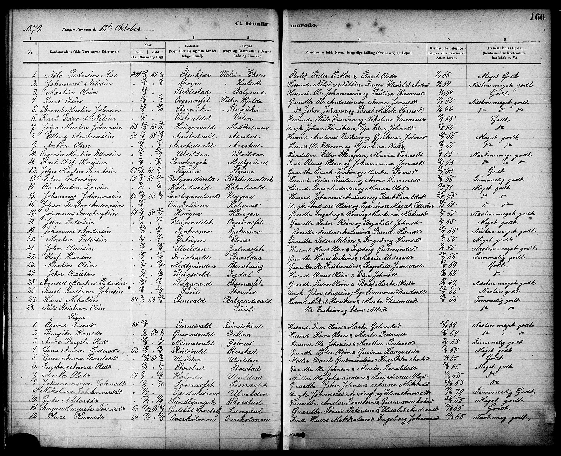 Ministerialprotokoller, klokkerbøker og fødselsregistre - Nord-Trøndelag, SAT/A-1458/724/L0267: Parish register (copy) no. 724C03, 1879-1898, p. 166